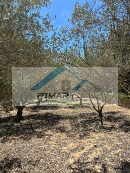 Zu verkaufen von chalet in
 Elche-Elx