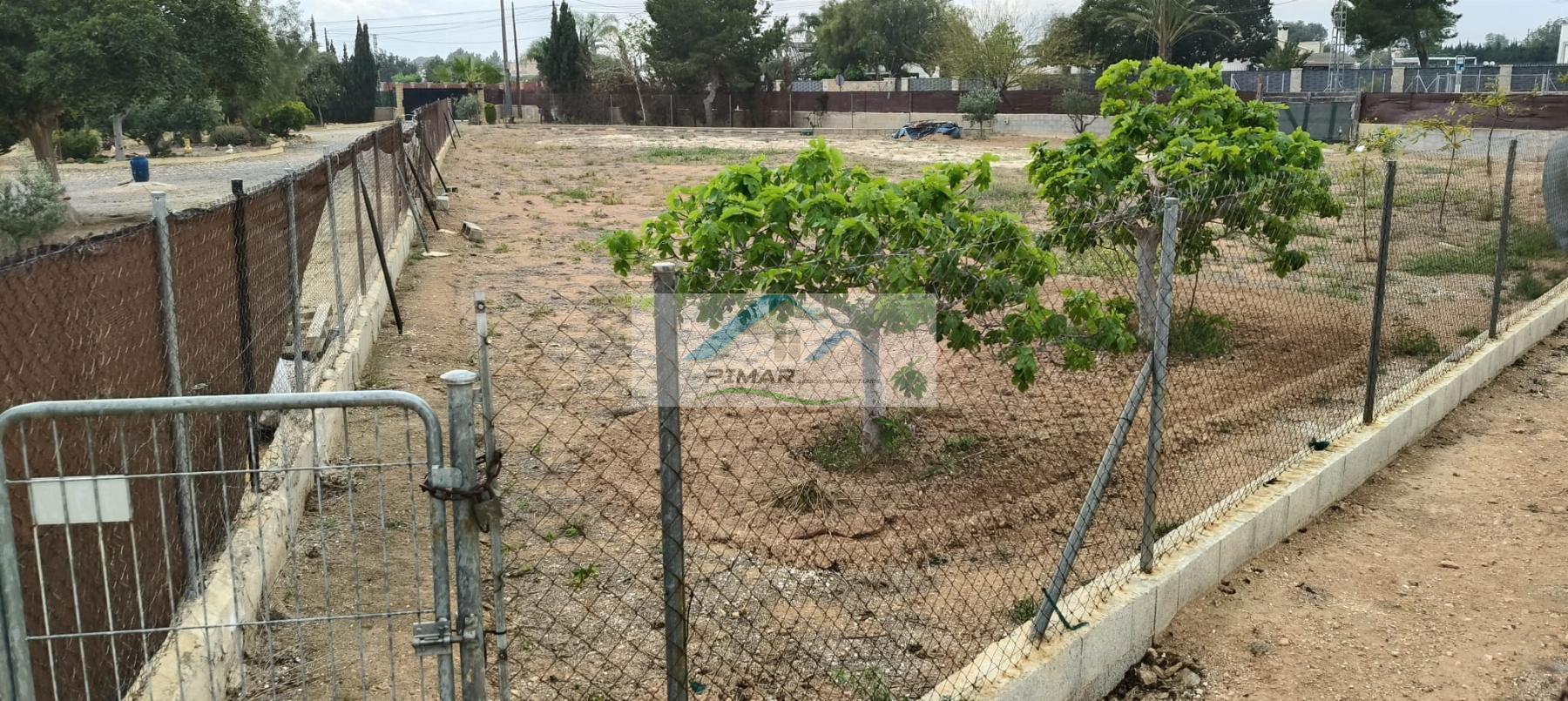 Aluguel de chão em Elche-Elx