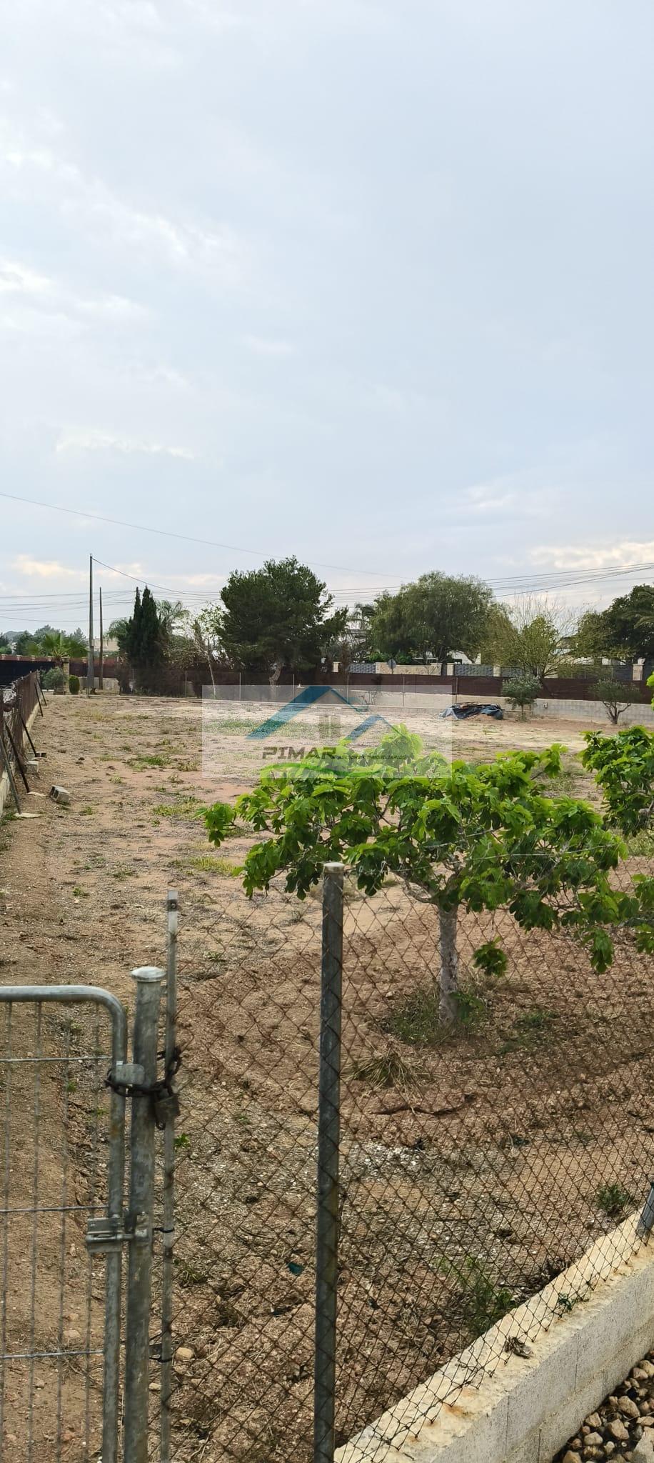 Aluguel de chão em Elche-Elx