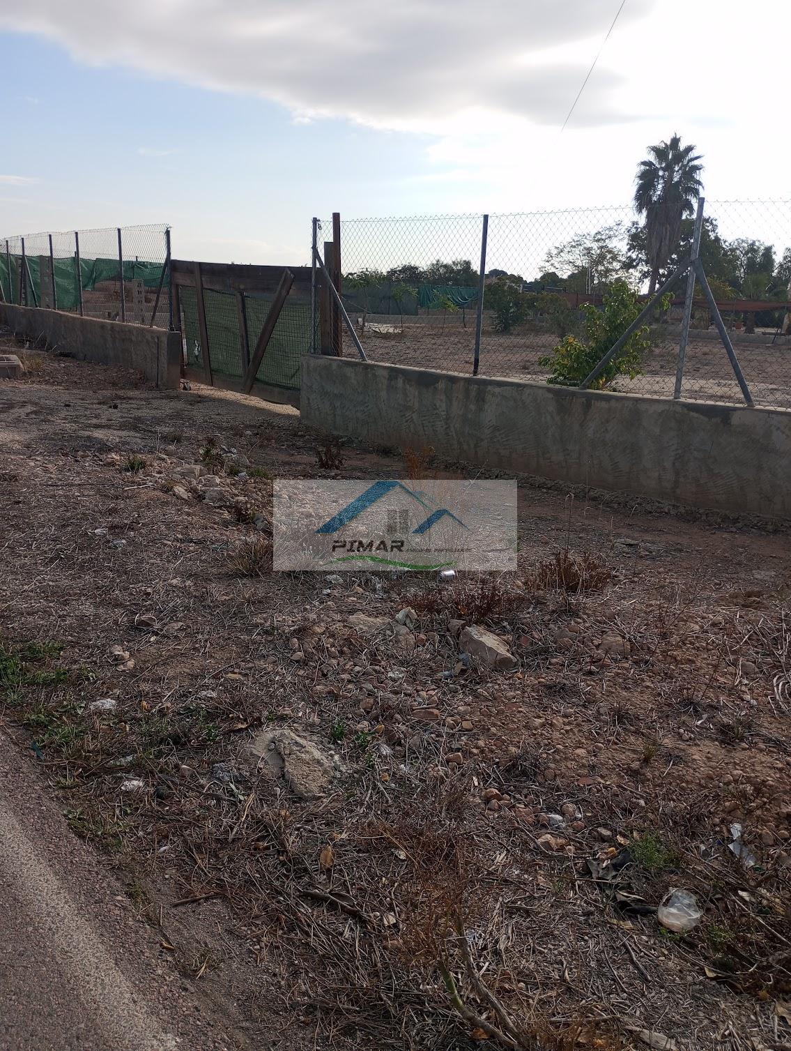 Aluguel de chão em Elche-Elx