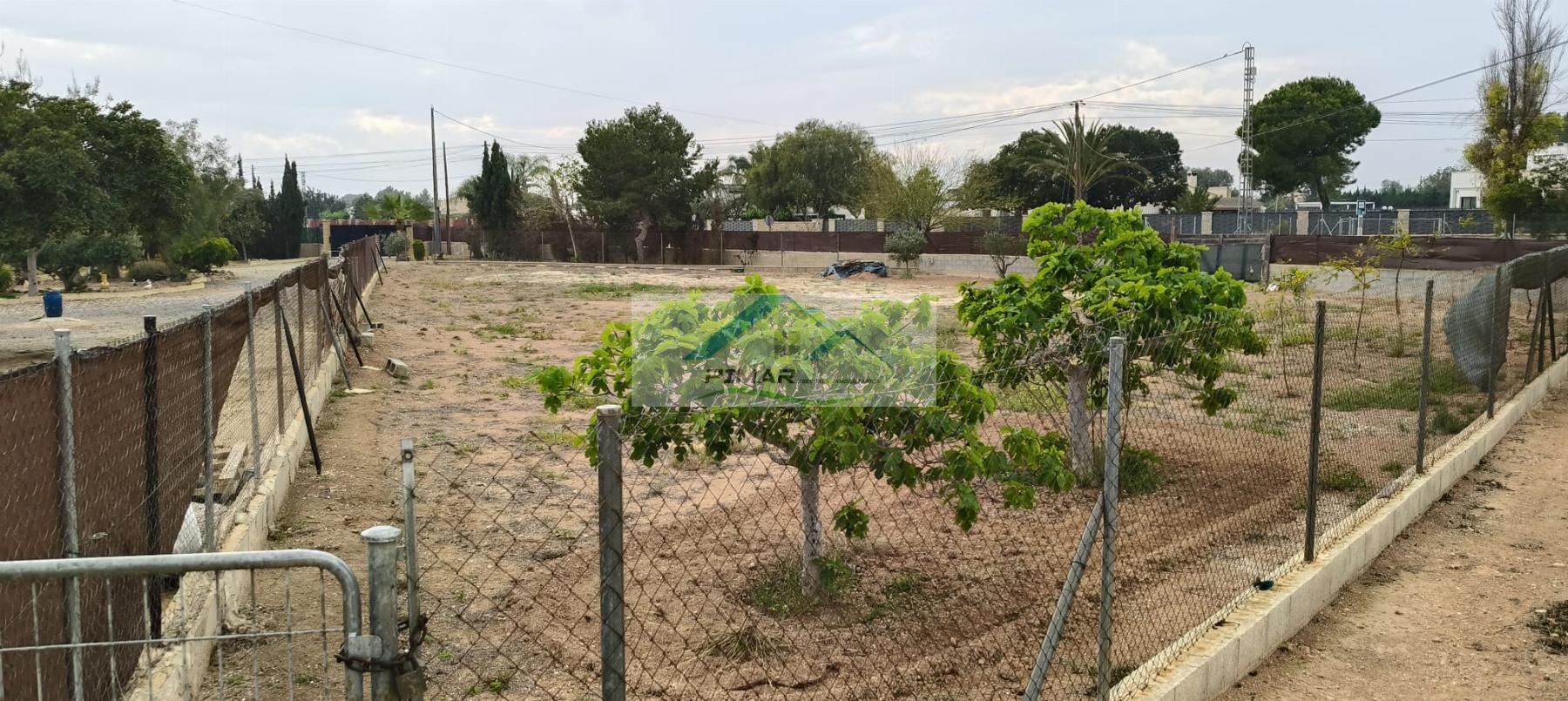 Aluguel de chão em Elche-Elx