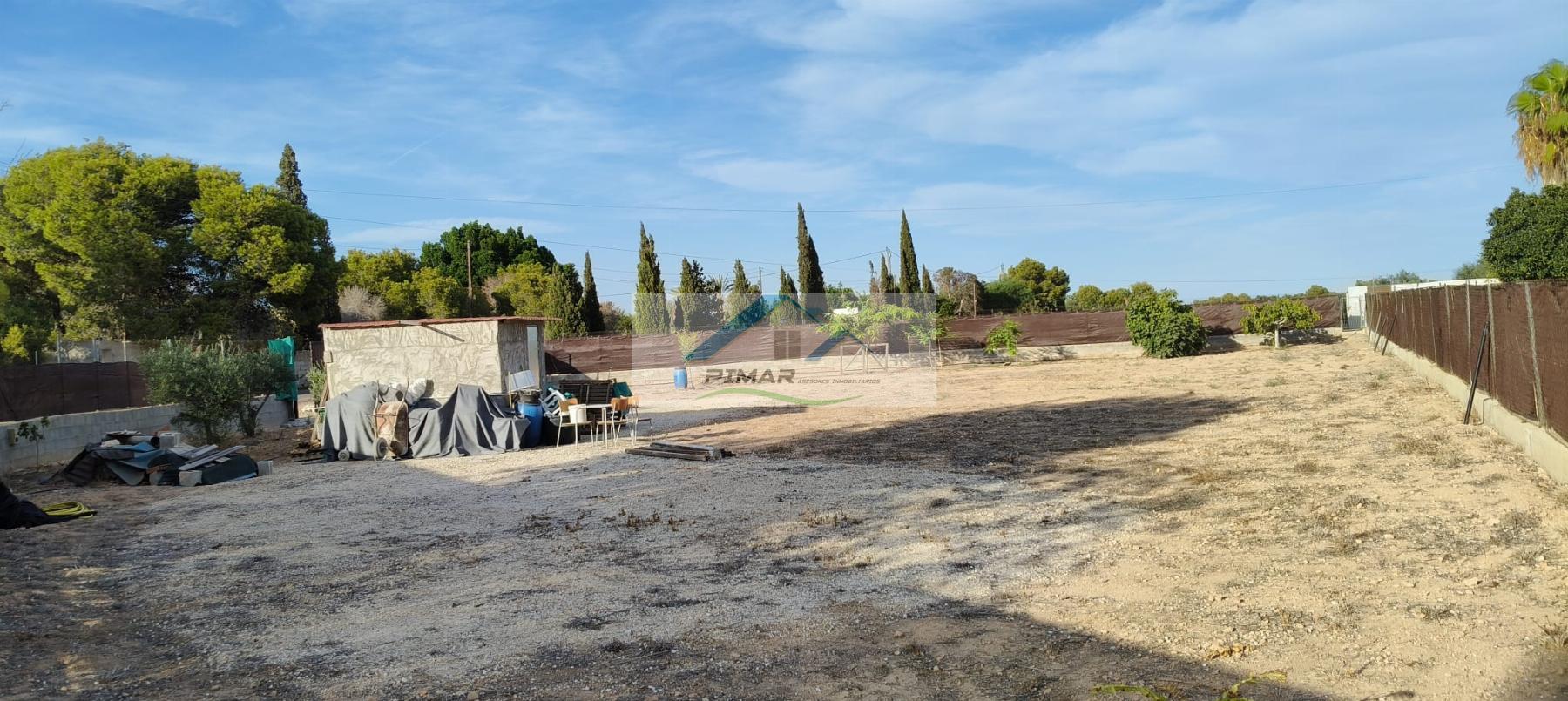 Location de terrain dans Elche-Elx