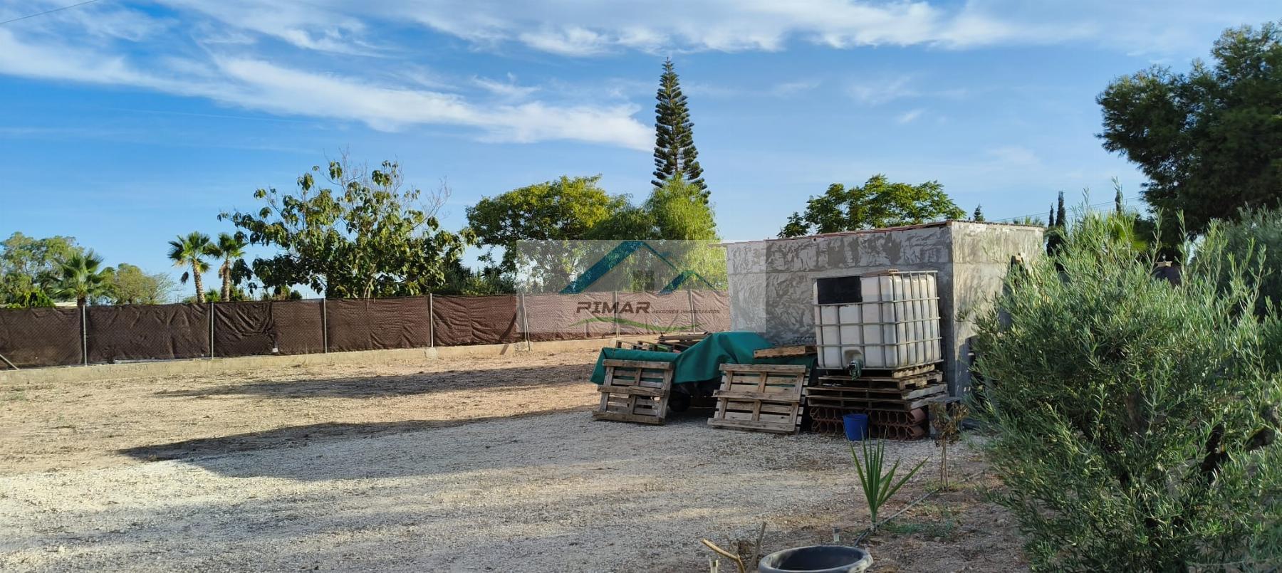 Location de terrain dans Elche-Elx