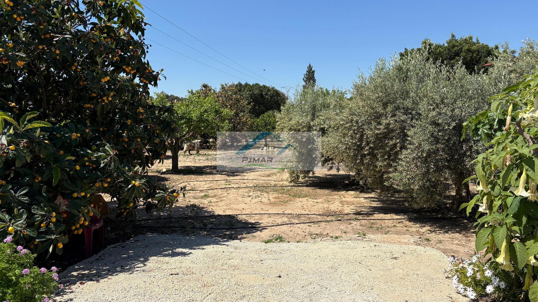 Verkoop van kleine villa in Elche-Elx