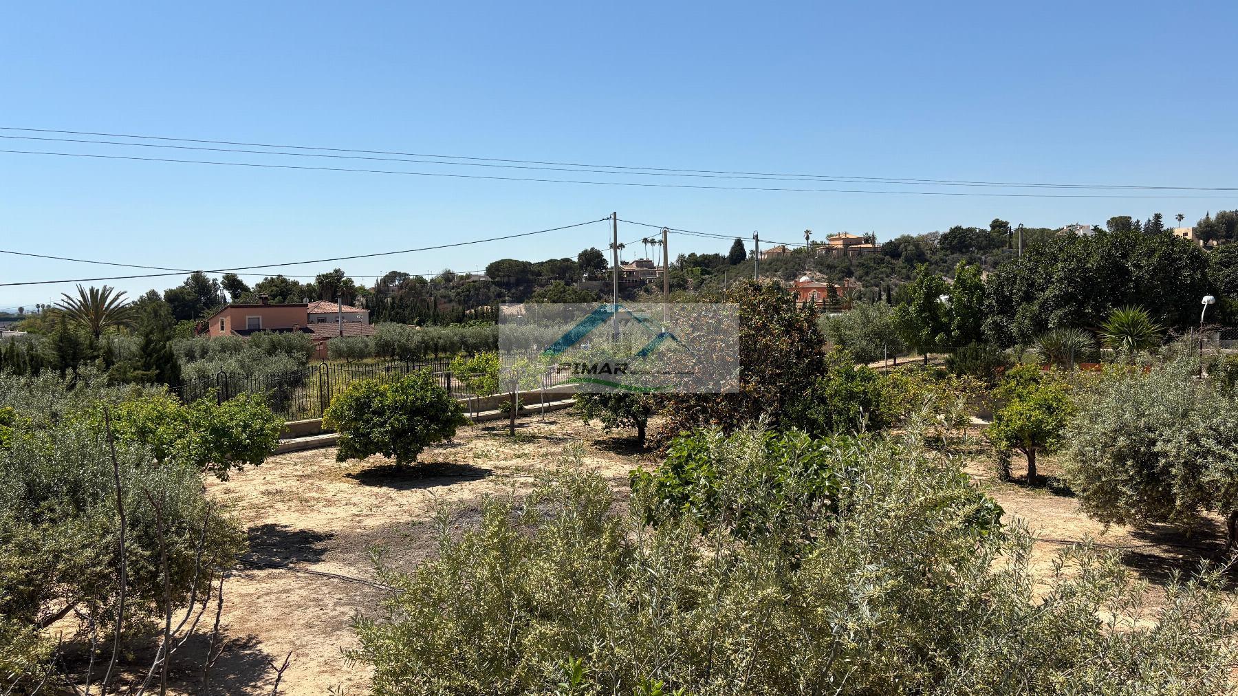 Verkoop van kleine villa in Elche-Elx