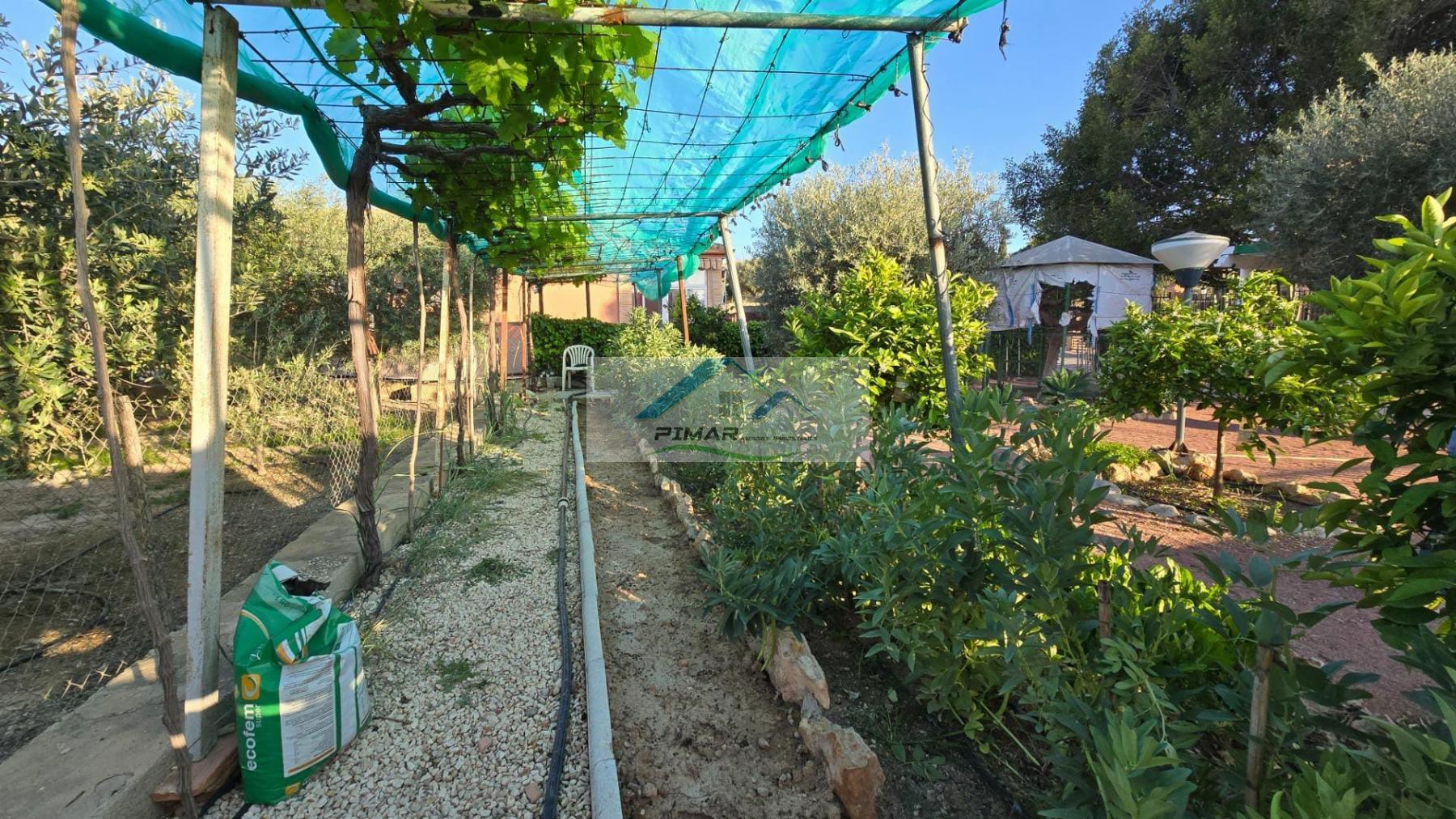 For sale of chalet in Elche-Elx