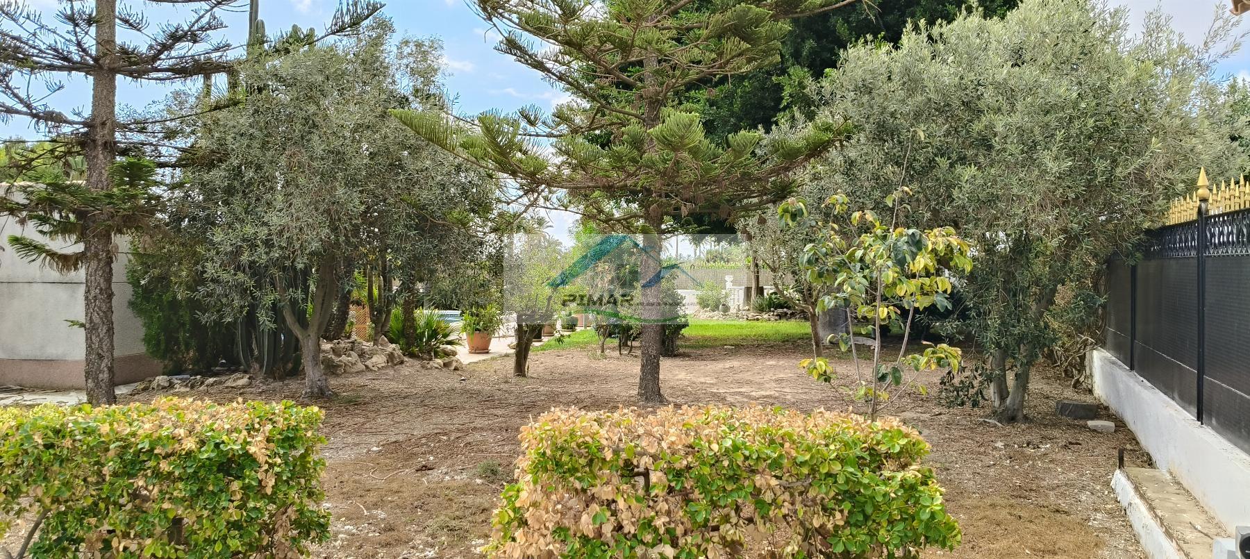 Venta de chalet en Elche-Elx
