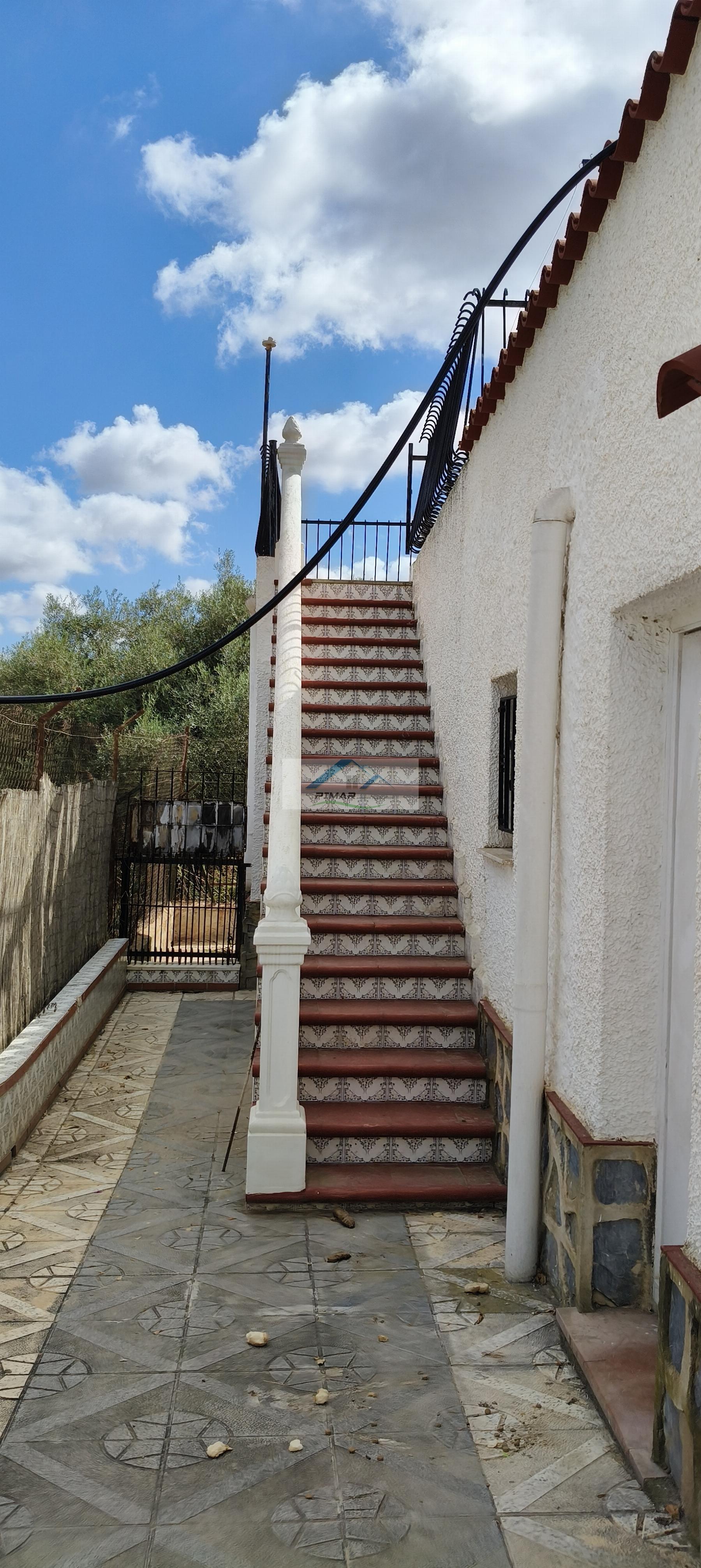Venta de chalet en Elche-Elx