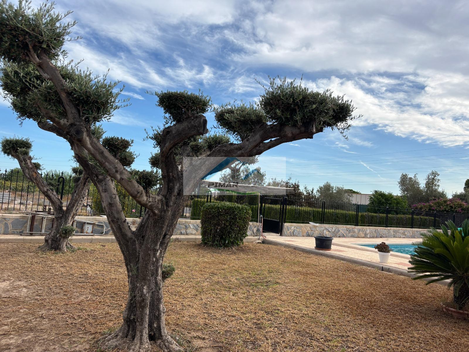 Venta de chalet en Elche-Elx Venta de chalet en Elche-Elx