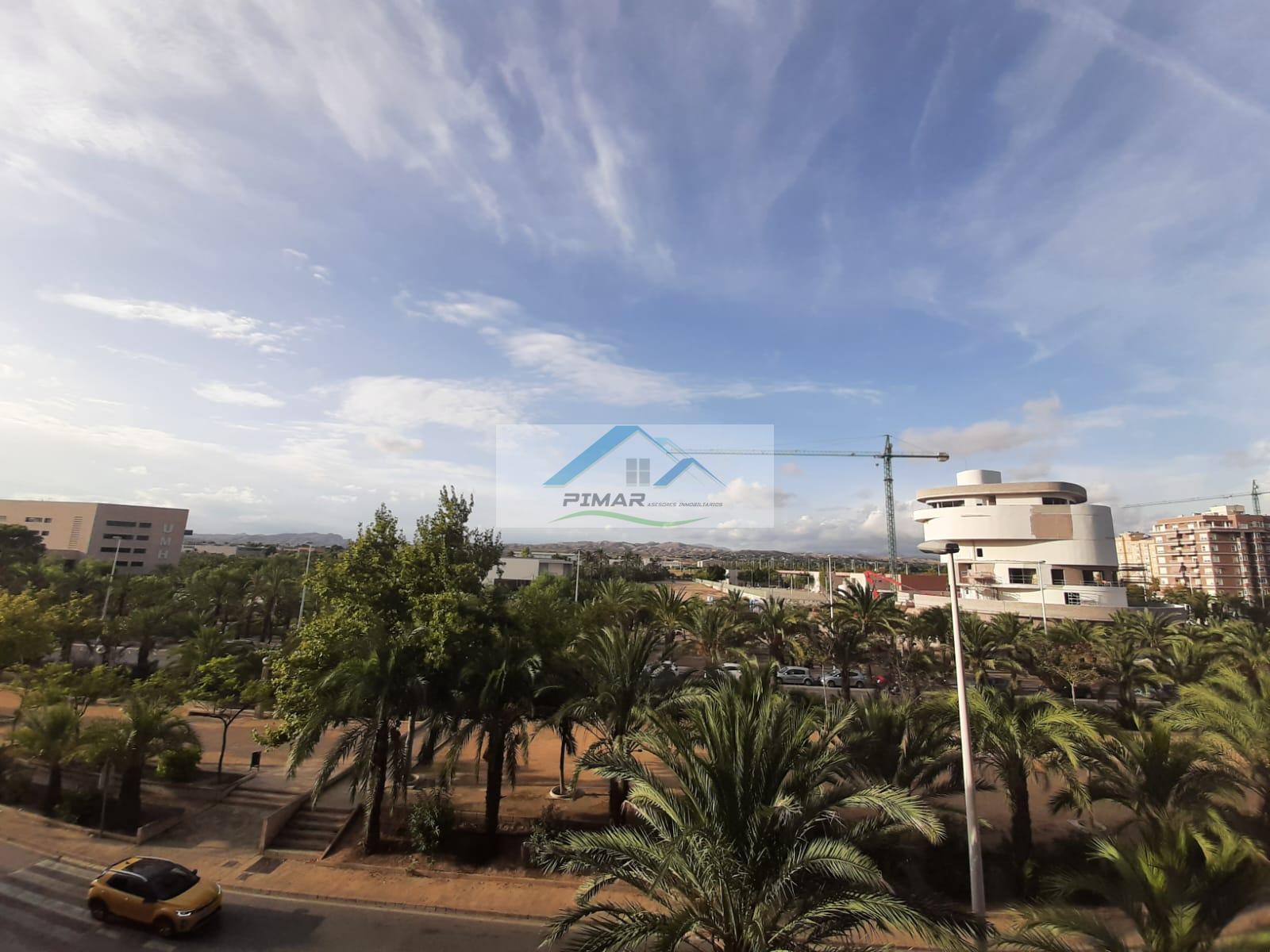 Alquiler de piso en Elche-Elx Alquiler de piso en Elche-Elx