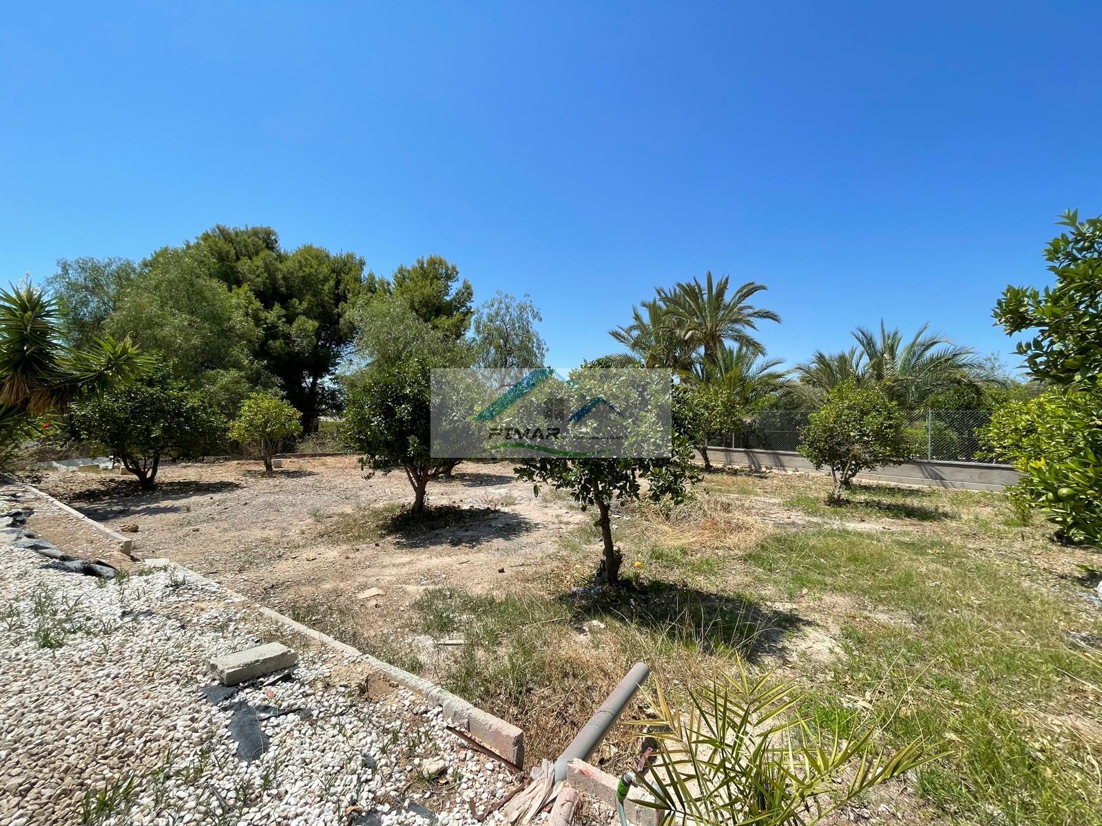 Venta de chalet en Elche-Elx