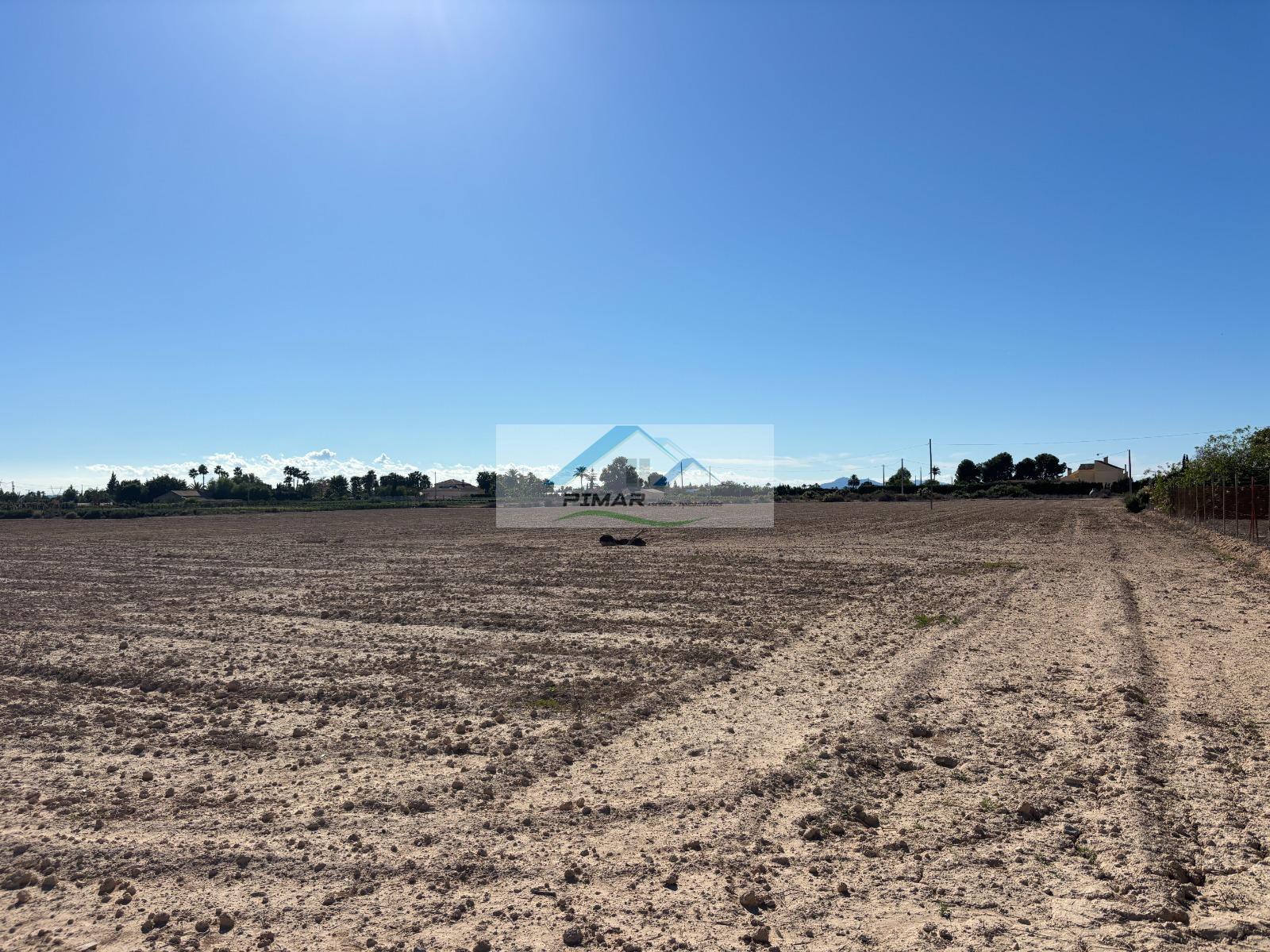 Venta de terreno en Elche-Elx