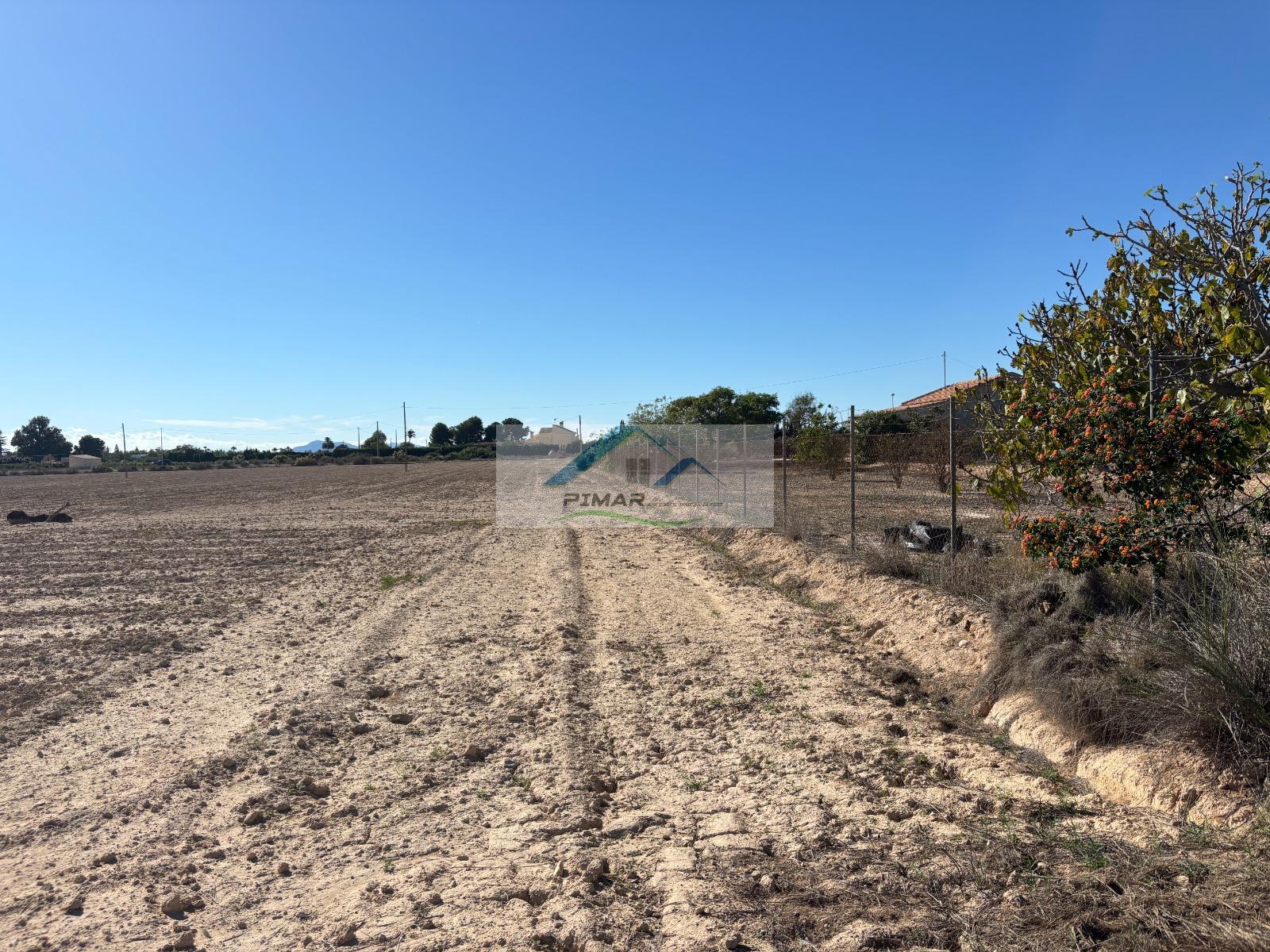 Venta de terreno en Elche-Elx