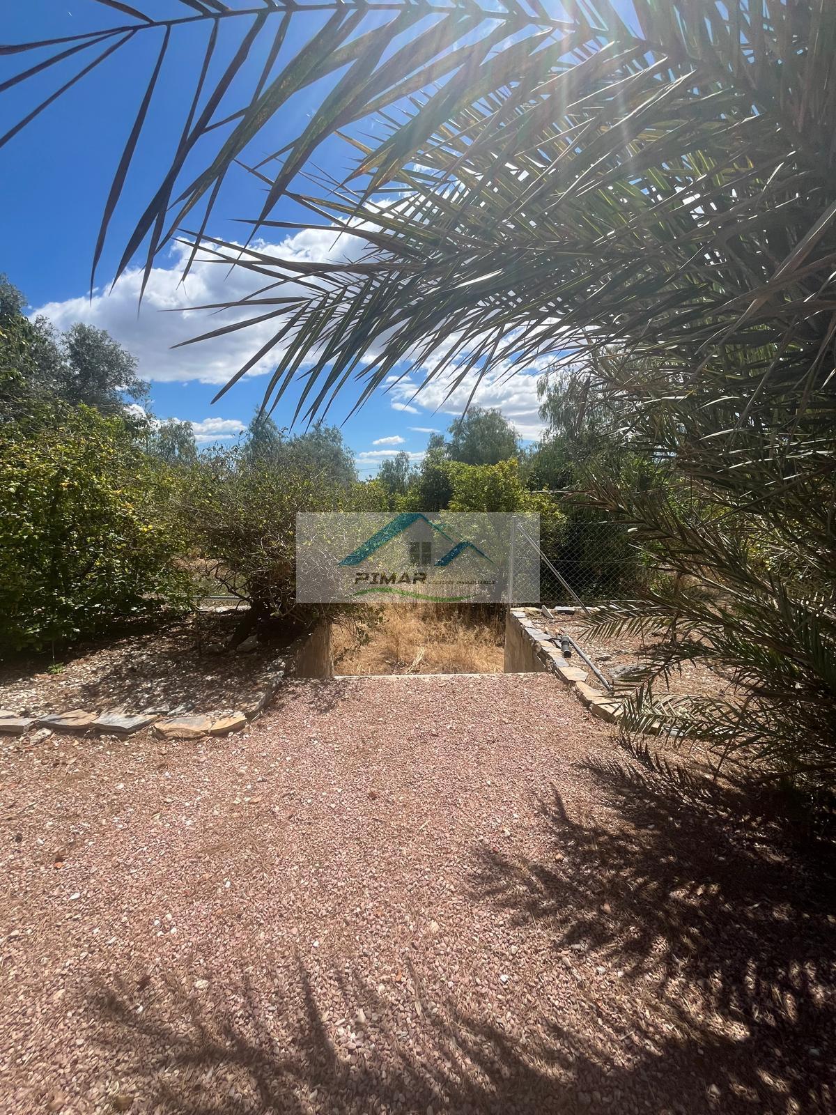 Venta de casa en Albatera