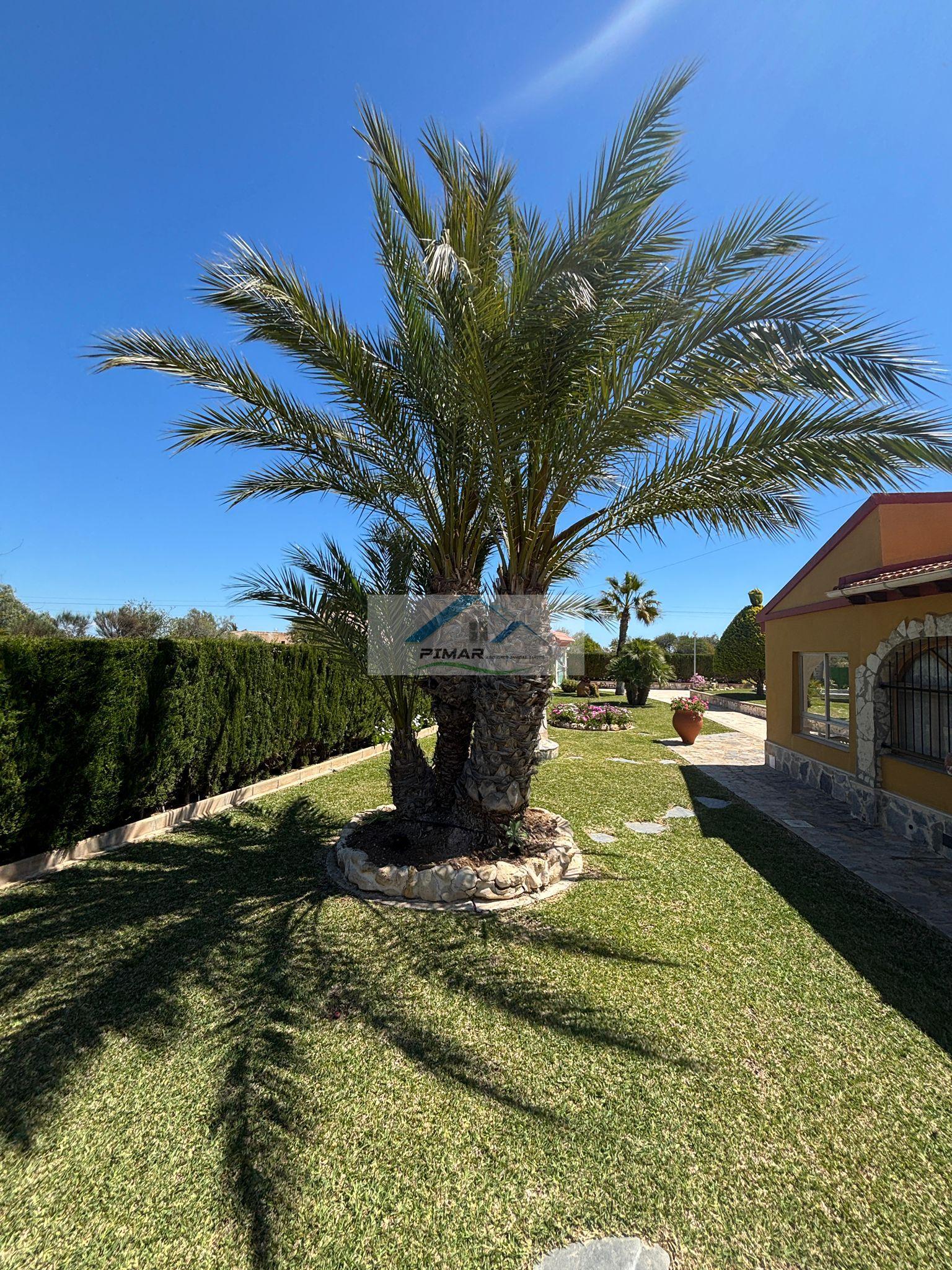 Venta de chalet en Elche-Elx