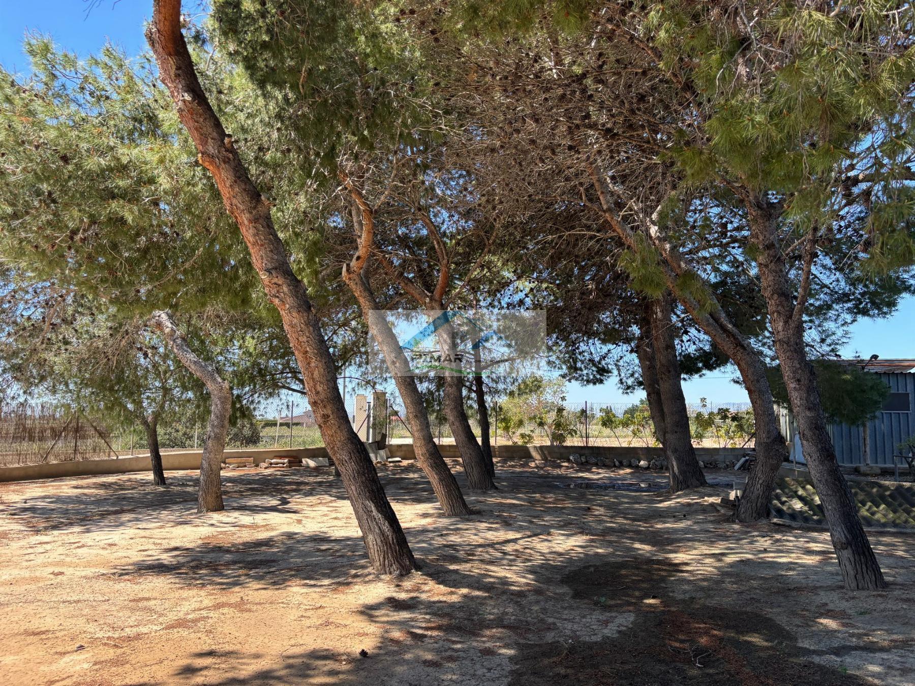 Venta de chalet en Elche-Elx