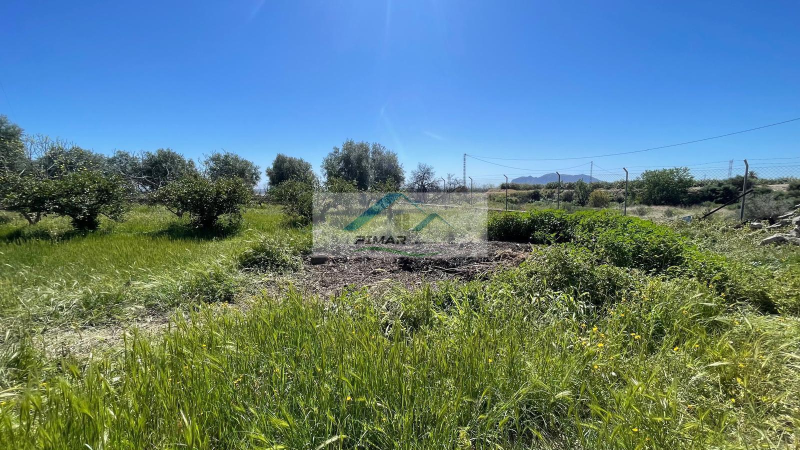 Venta de casa en Albatera