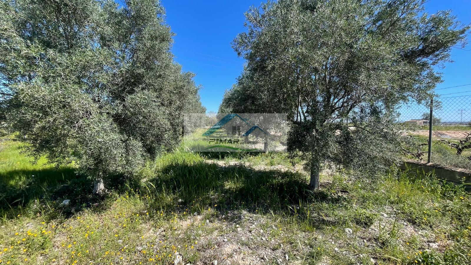 Venta de casa en Albatera