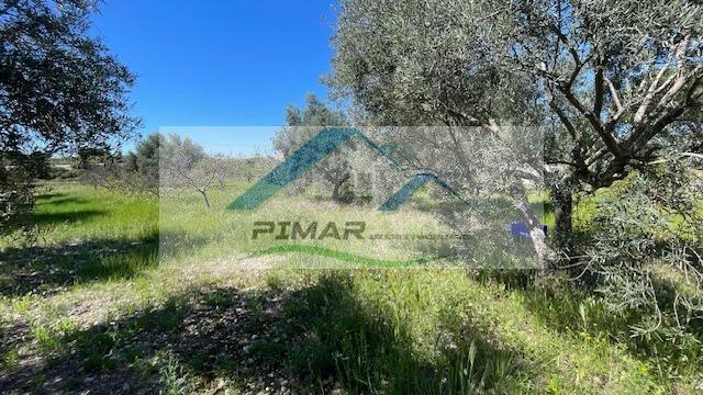 Venta de casa en Albatera