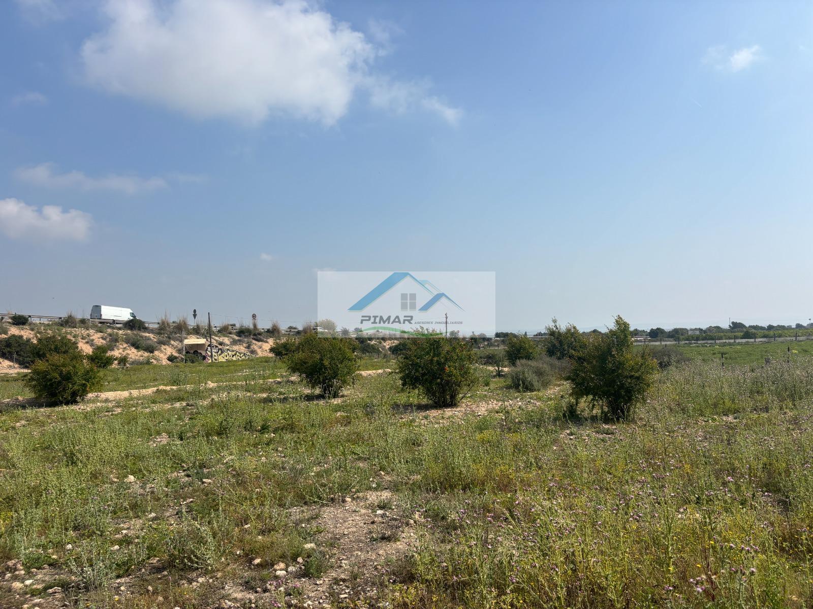 Venta de terreno en Elche-Elx