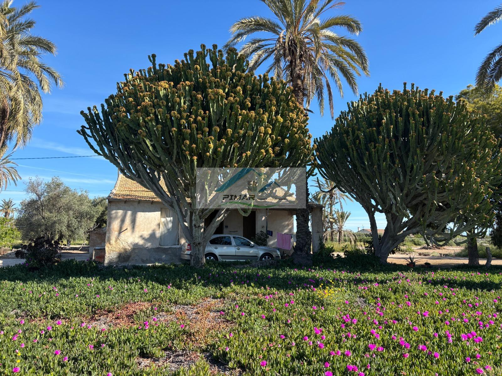 Venta de casa en Elche-Elx