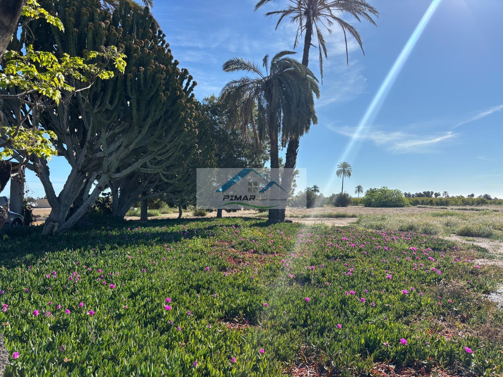Venta de casa en Elche-Elx