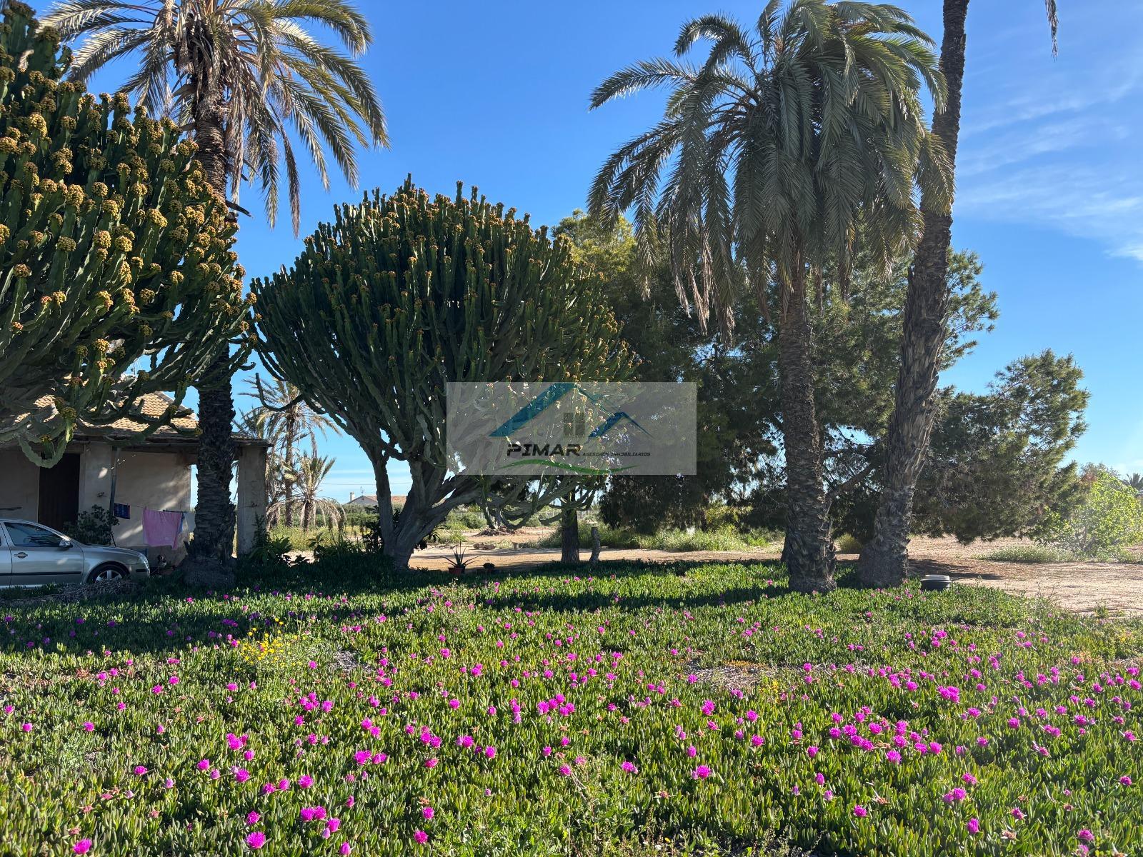 Venta de casa en Elche-Elx