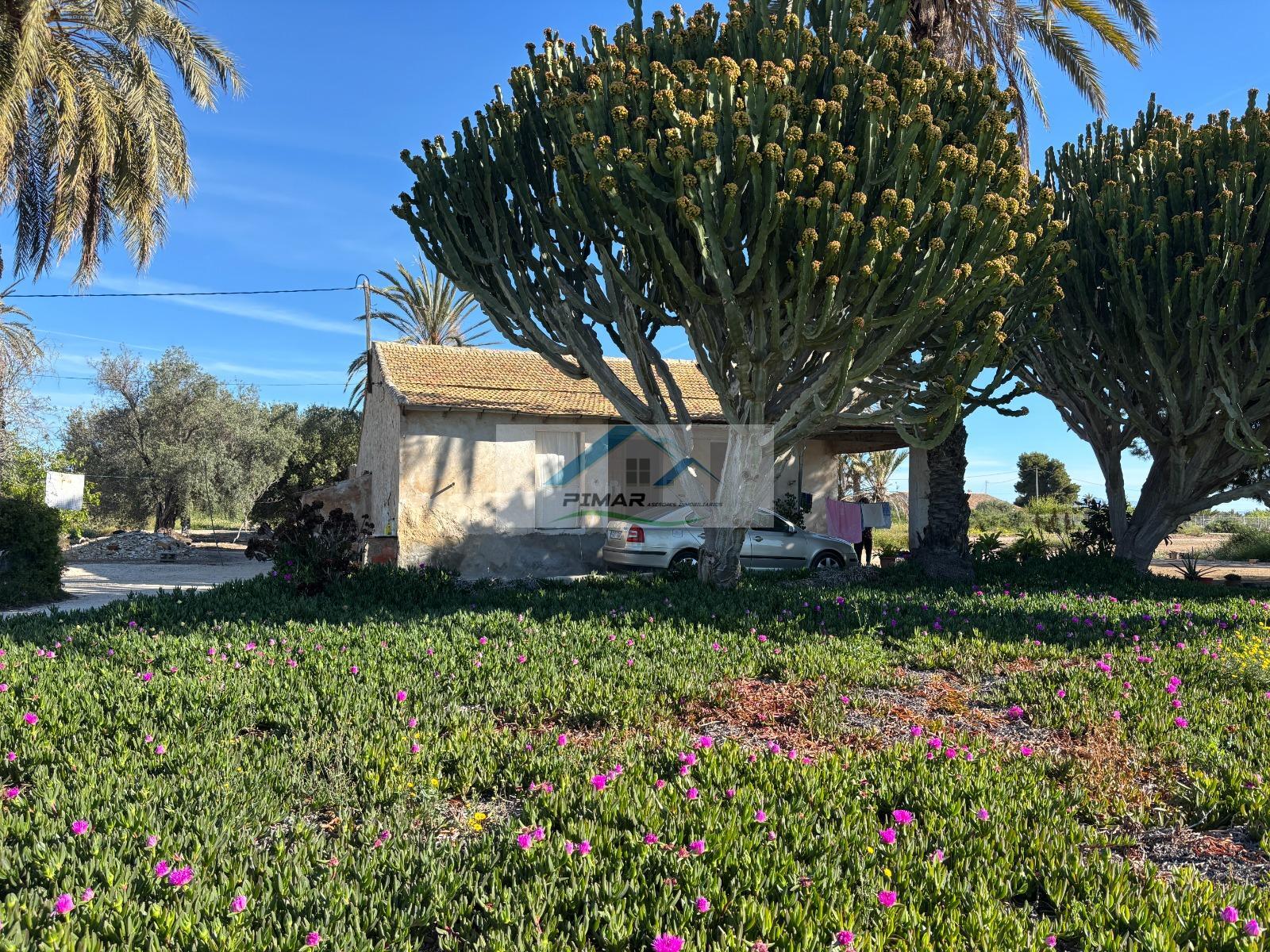 Venta de casa en Elche-Elx