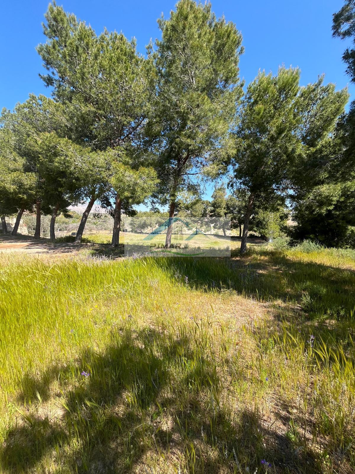 Venta de casa en Crevillent