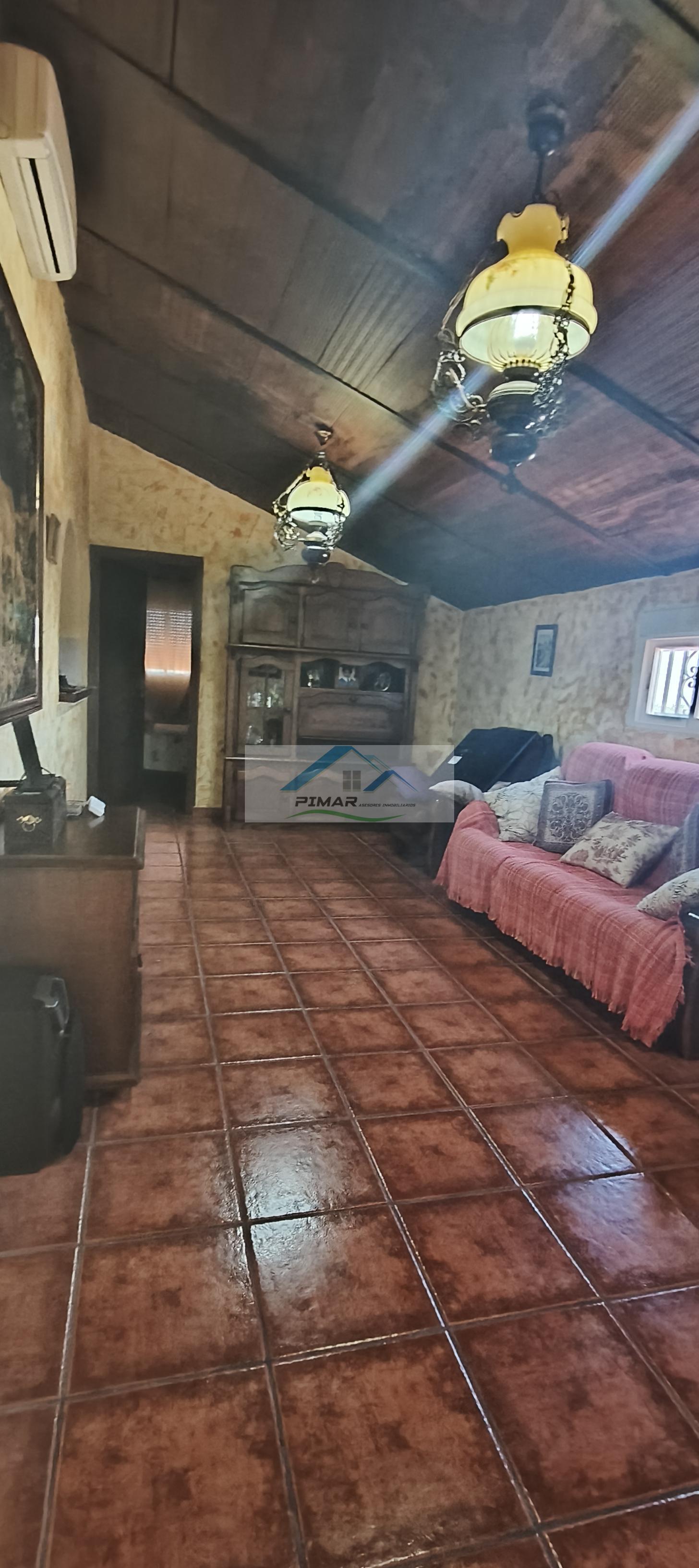 Venta de finca rústica en Elche-Elx