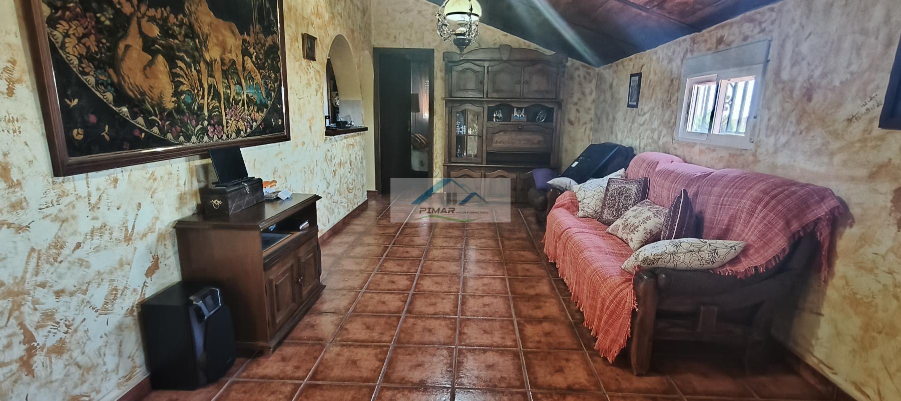 Venta de finca rústica en Elche-Elx