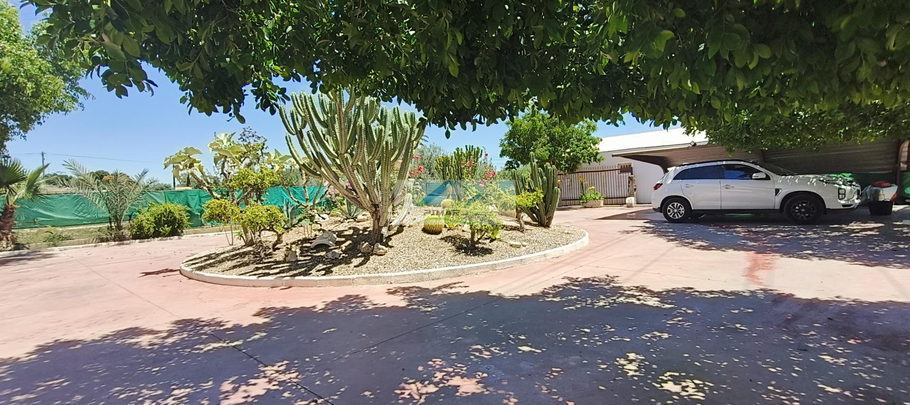Venta de finca rústica en Elche-Elx