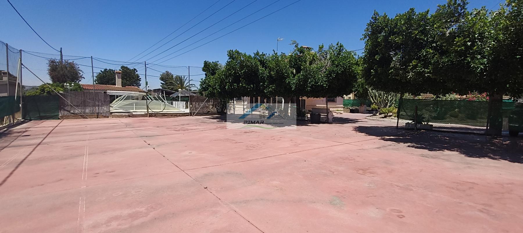 Venta de finca rústica en Elche-Elx