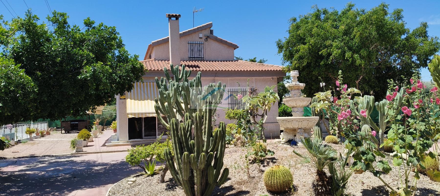 Venta de finca rústica en Elche-Elx