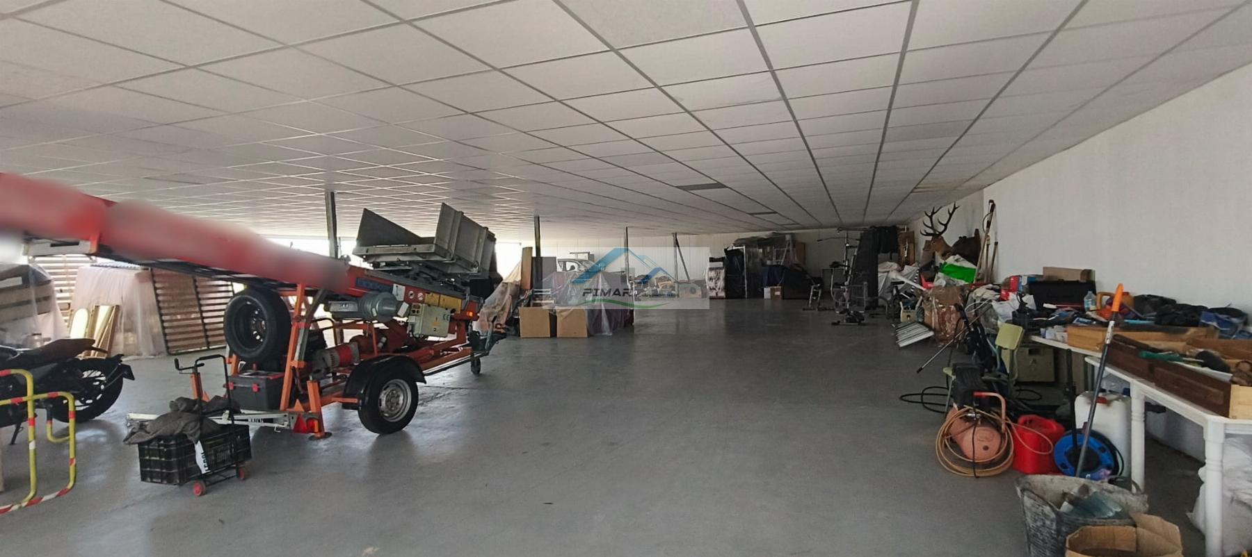 Venta de finca rústica en Elche-Elx