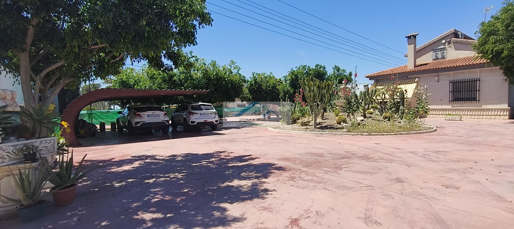 Venta de finca rústica en Elche-Elx
