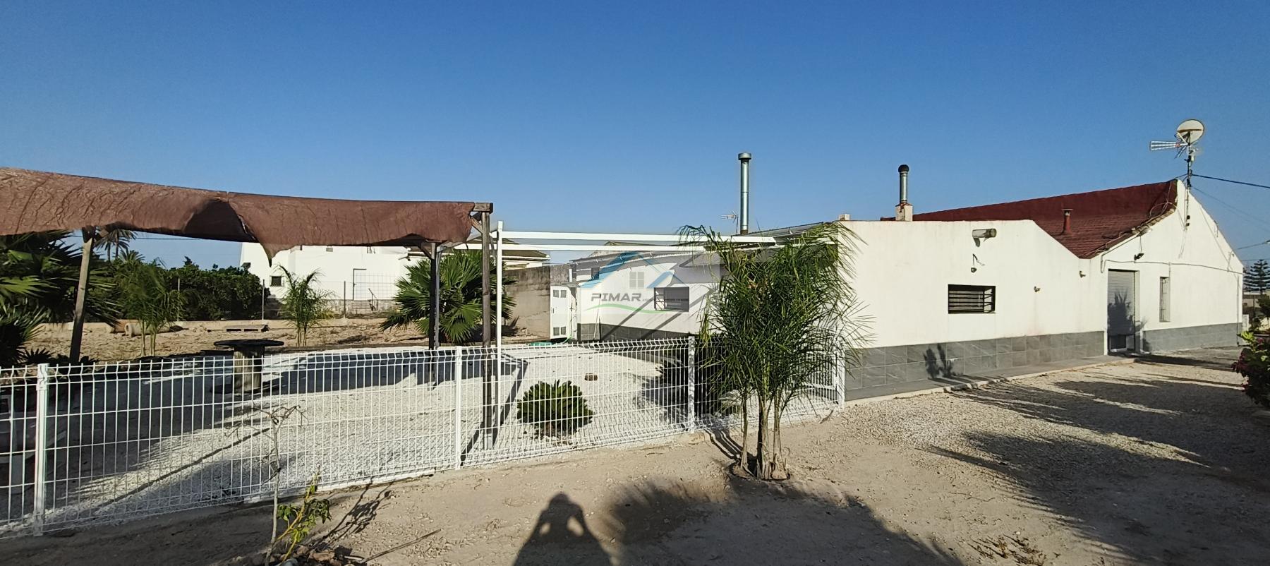 Venta de finca rústica en Elche-Elx