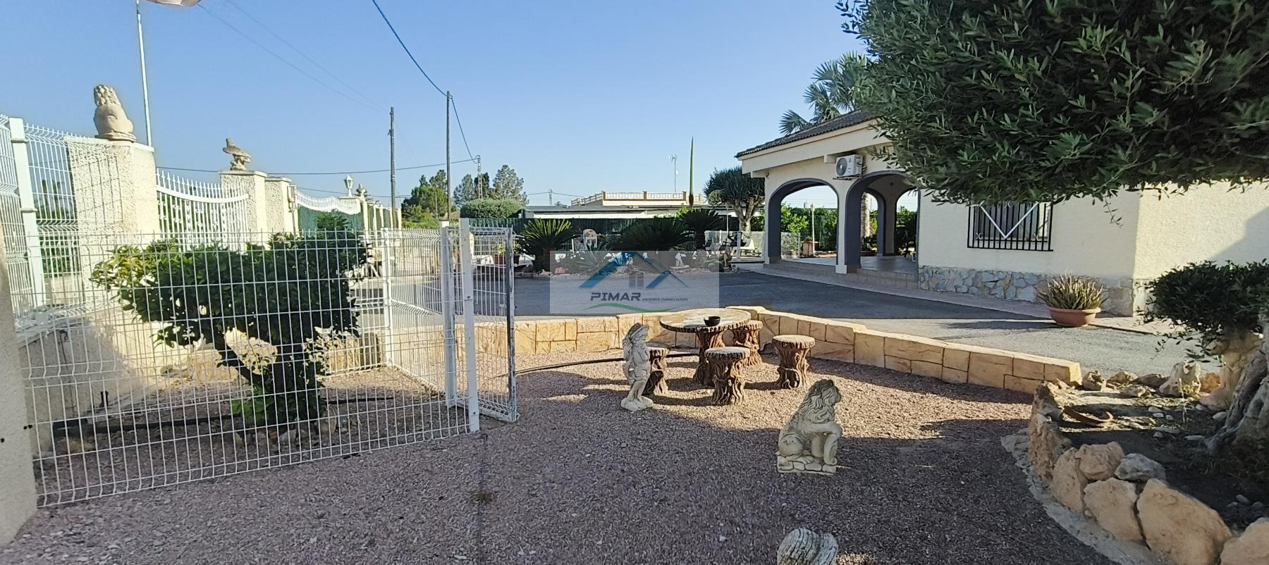 Venta de finca rústica en Elche-Elx