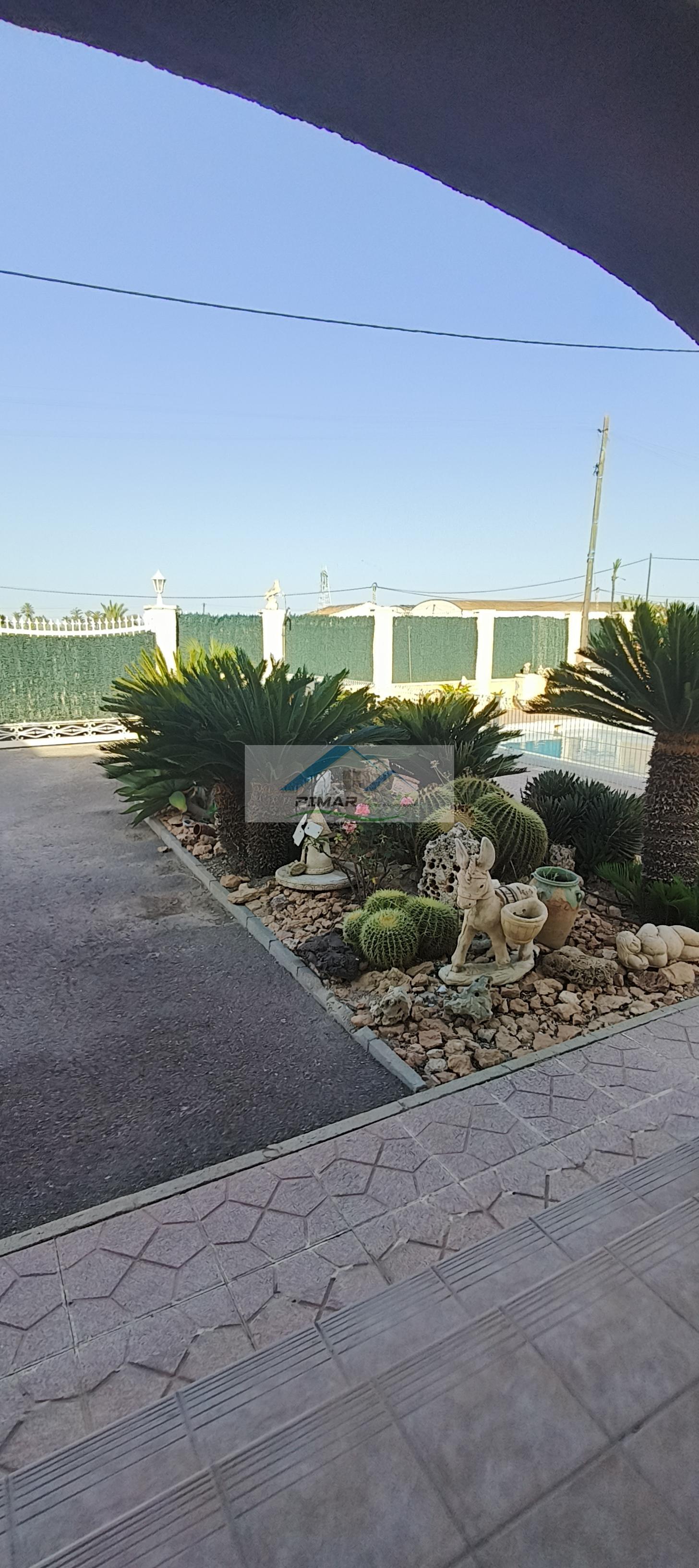 Venta de finca rústica en Elche-Elx