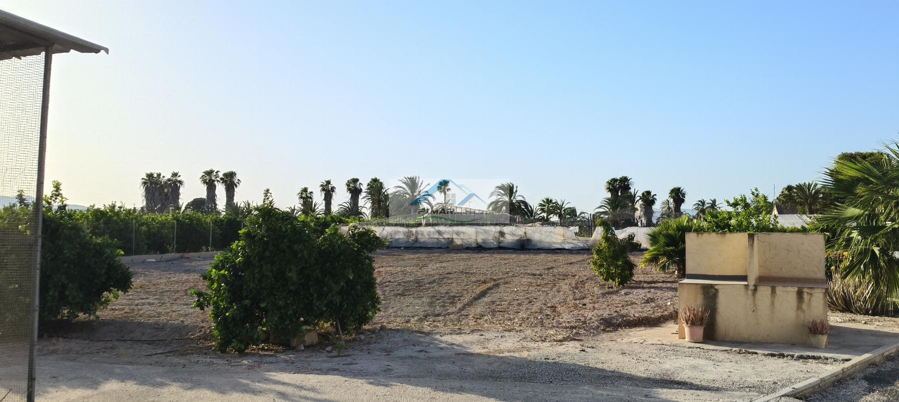 Venta de finca rústica en Elche-Elx