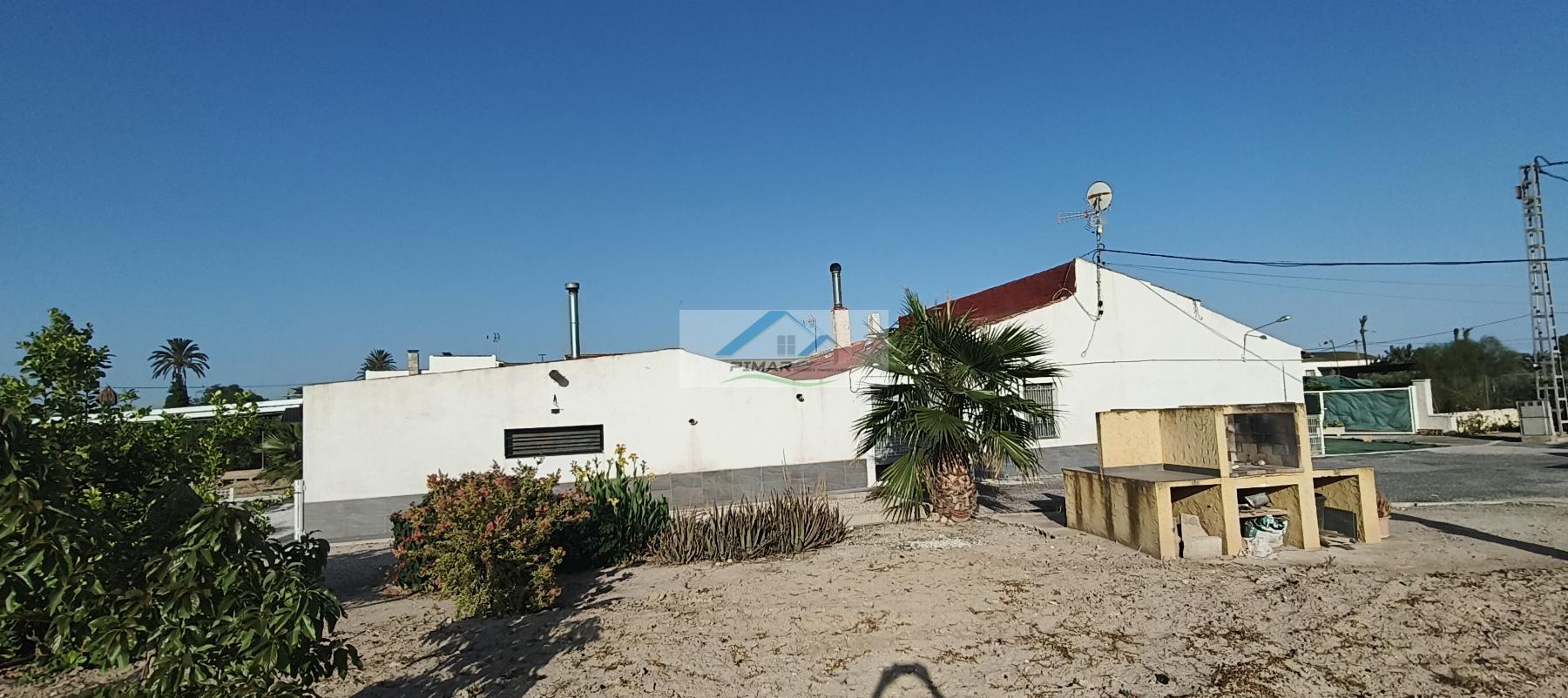 Venta de finca rústica en Elche-Elx