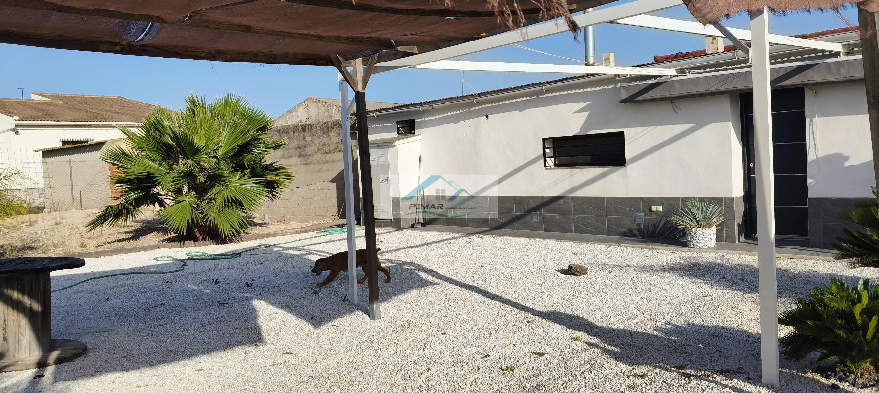 Venta de finca rústica en Elche-Elx