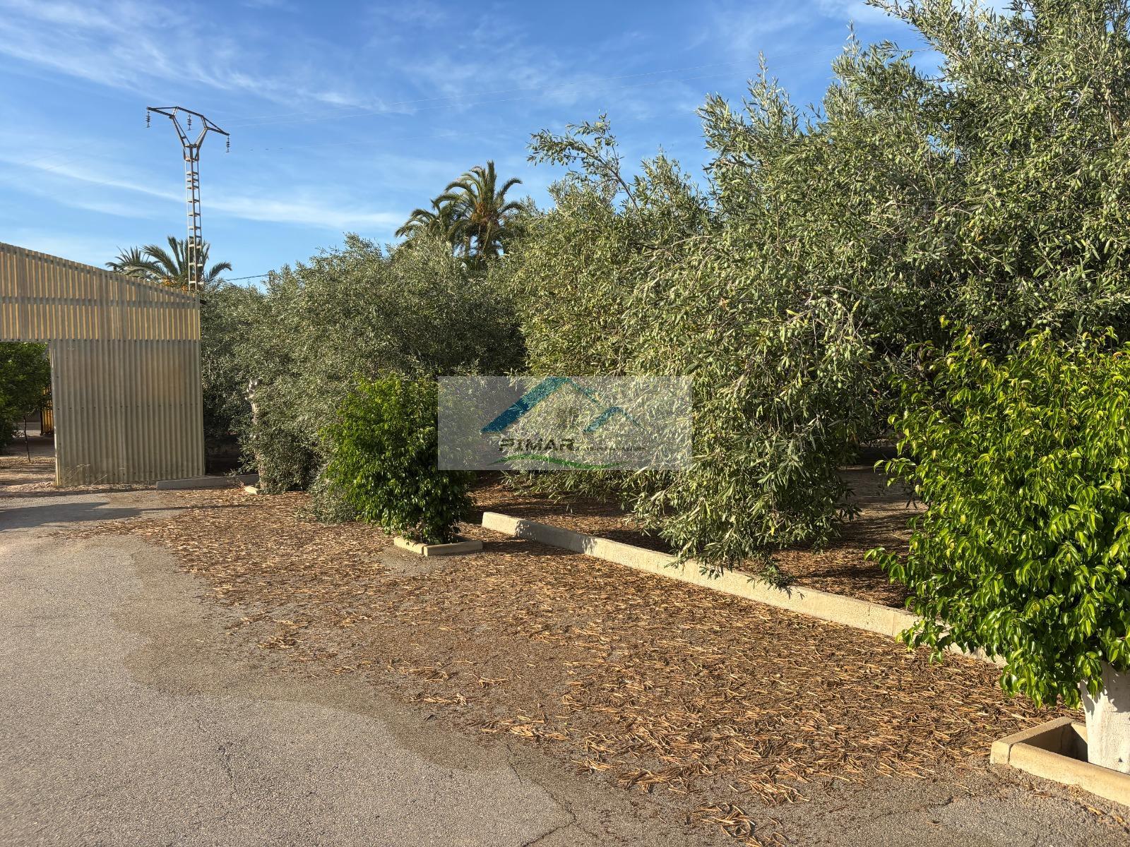 Venta de terreno en Elche-Elx