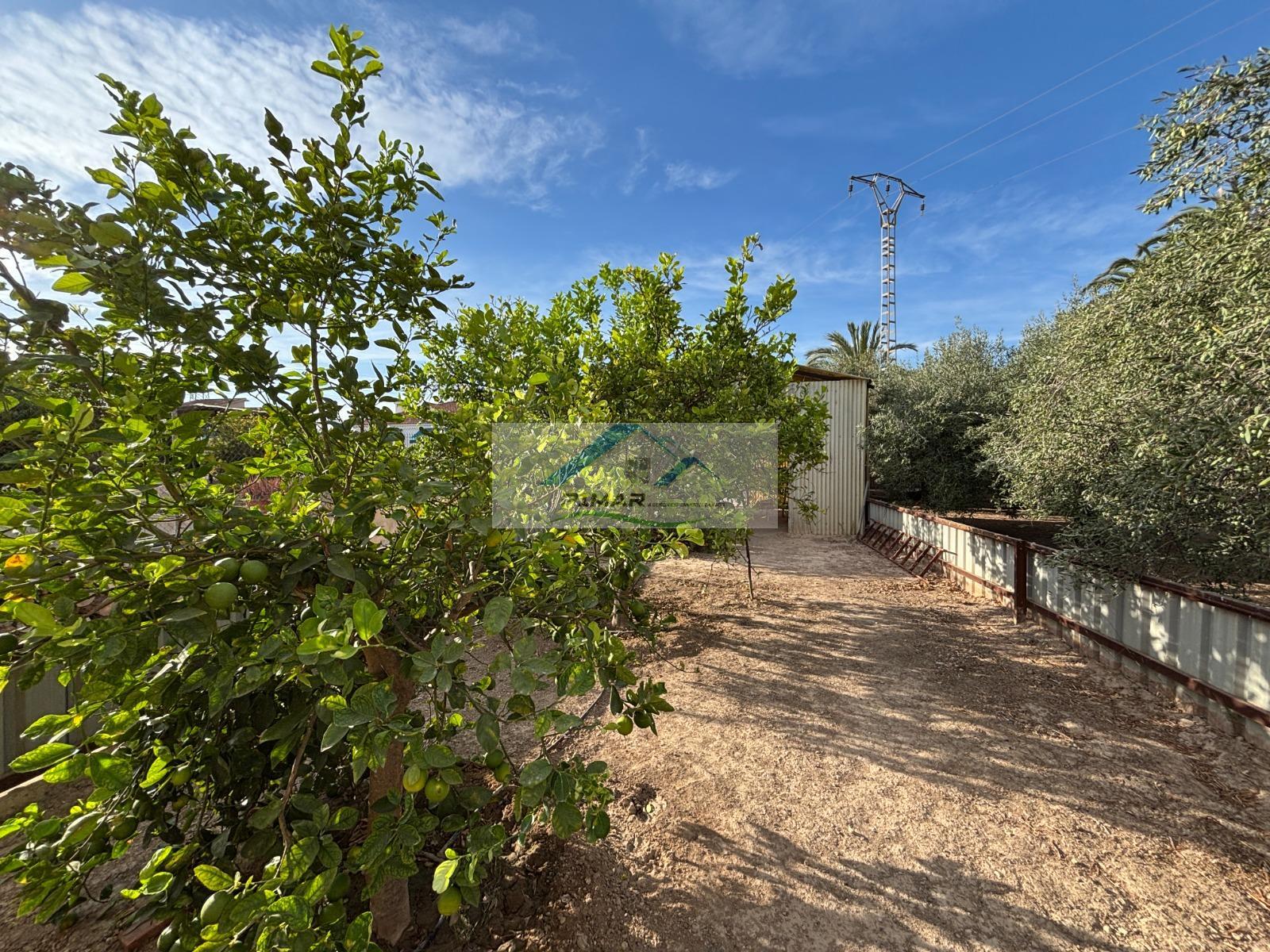 Venta de terreno en Elche-Elx