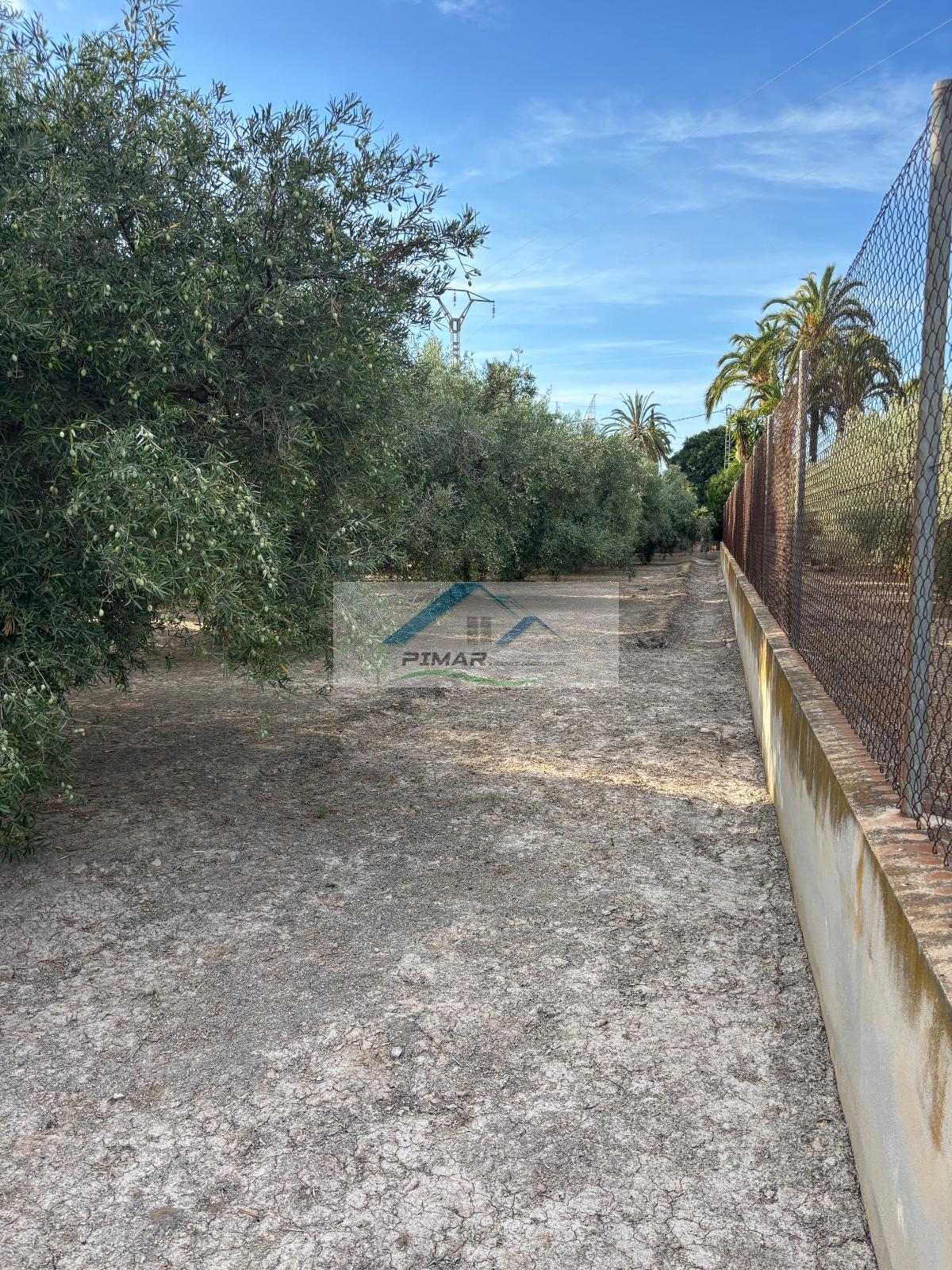 Venta de terreno en Elche-Elx
