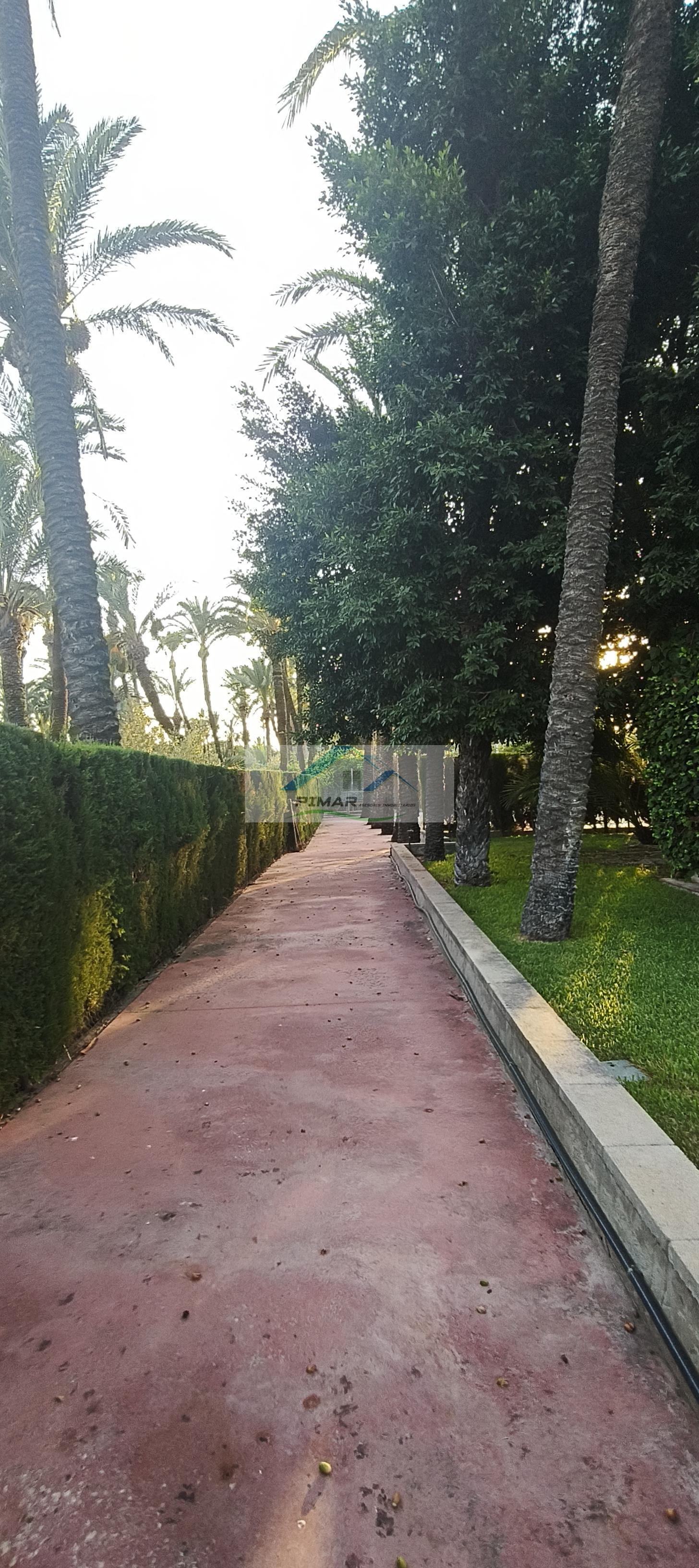 Venta de villa en Elche-Elx