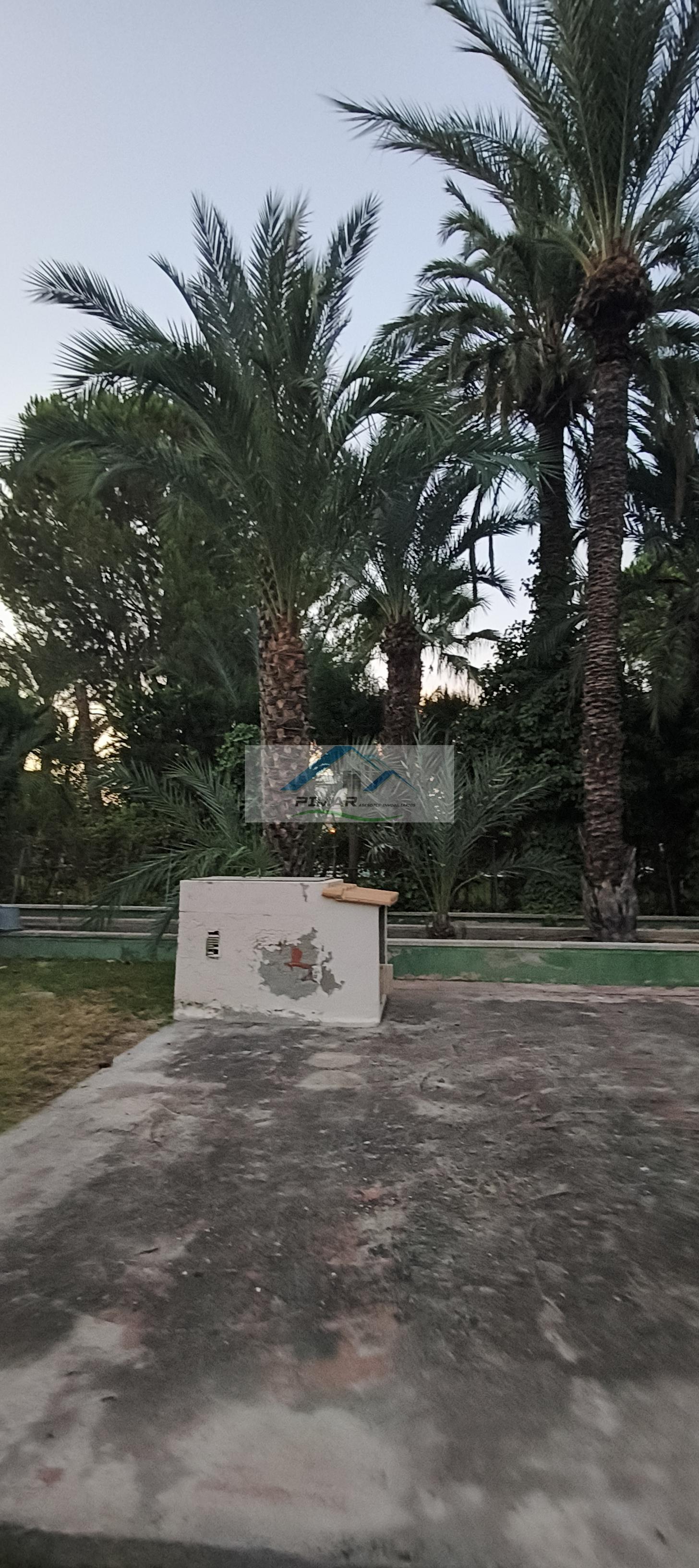Venta de villa en Elche-Elx