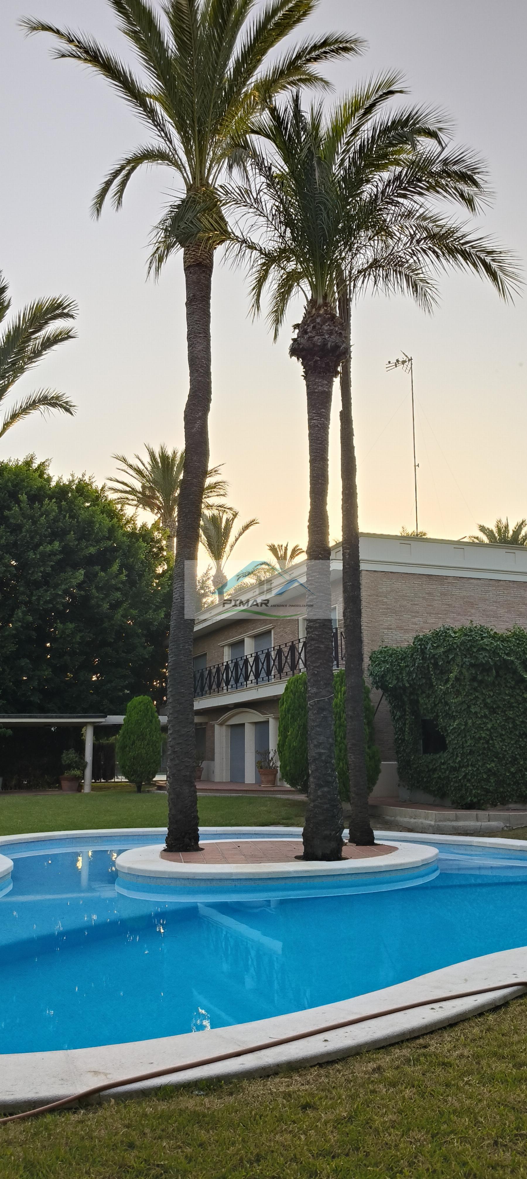 Venta de villa en Elche-Elx