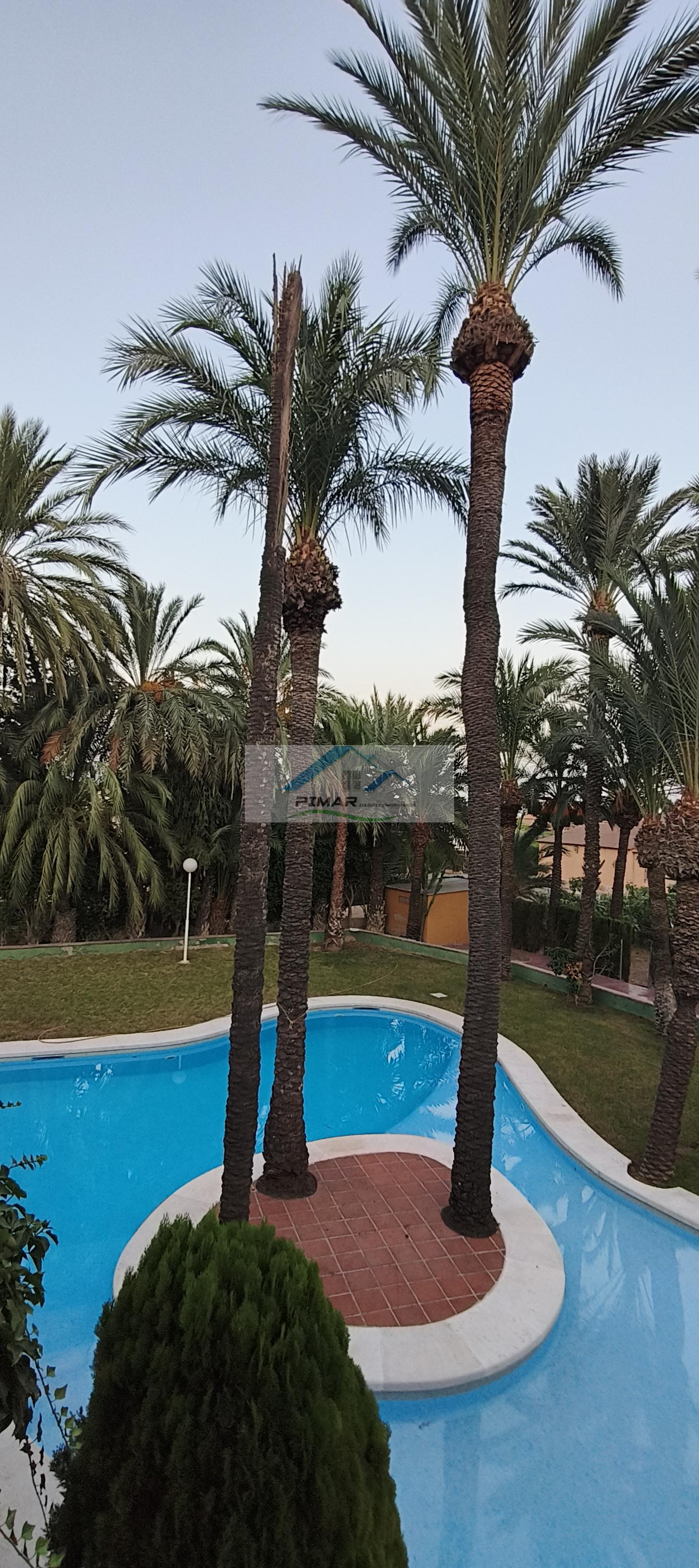 Venta de villa en Elche-Elx