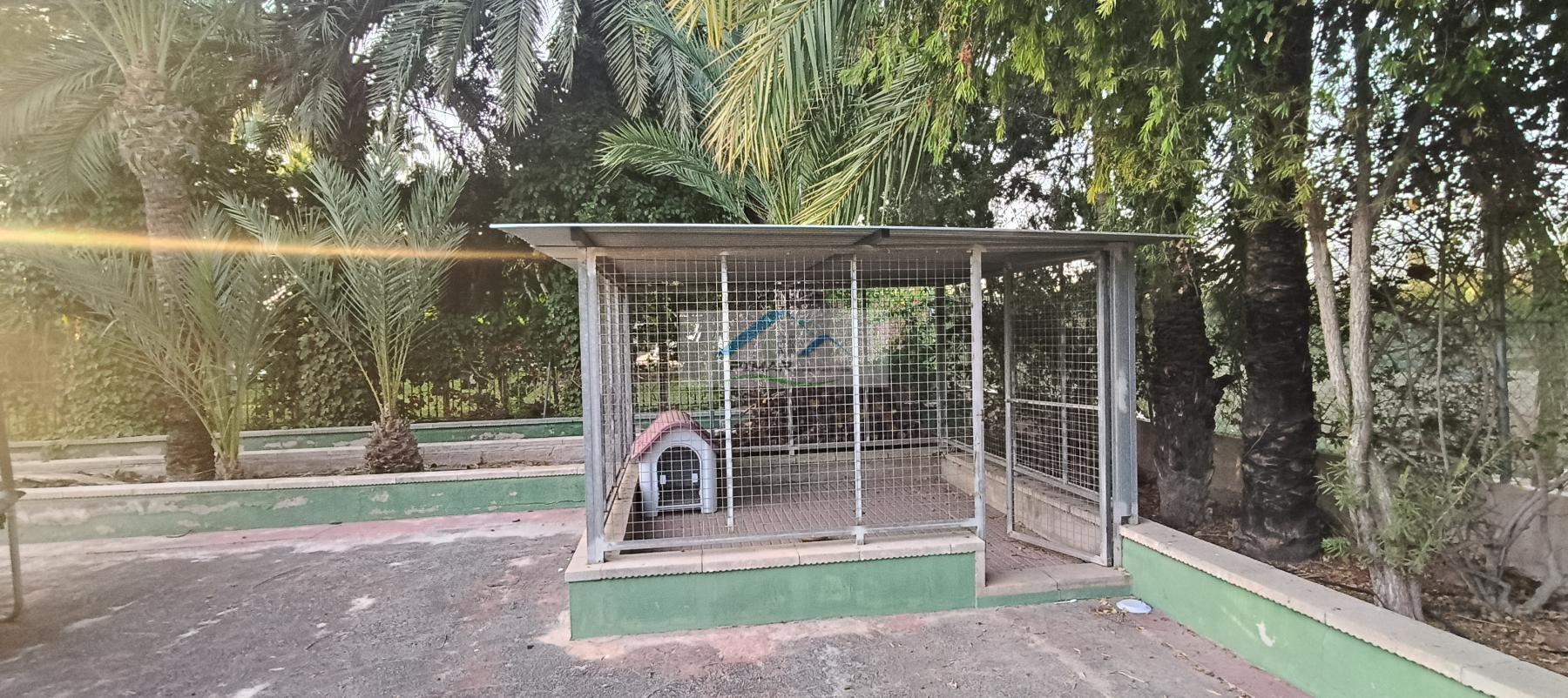 Venta de villa en Elche-Elx